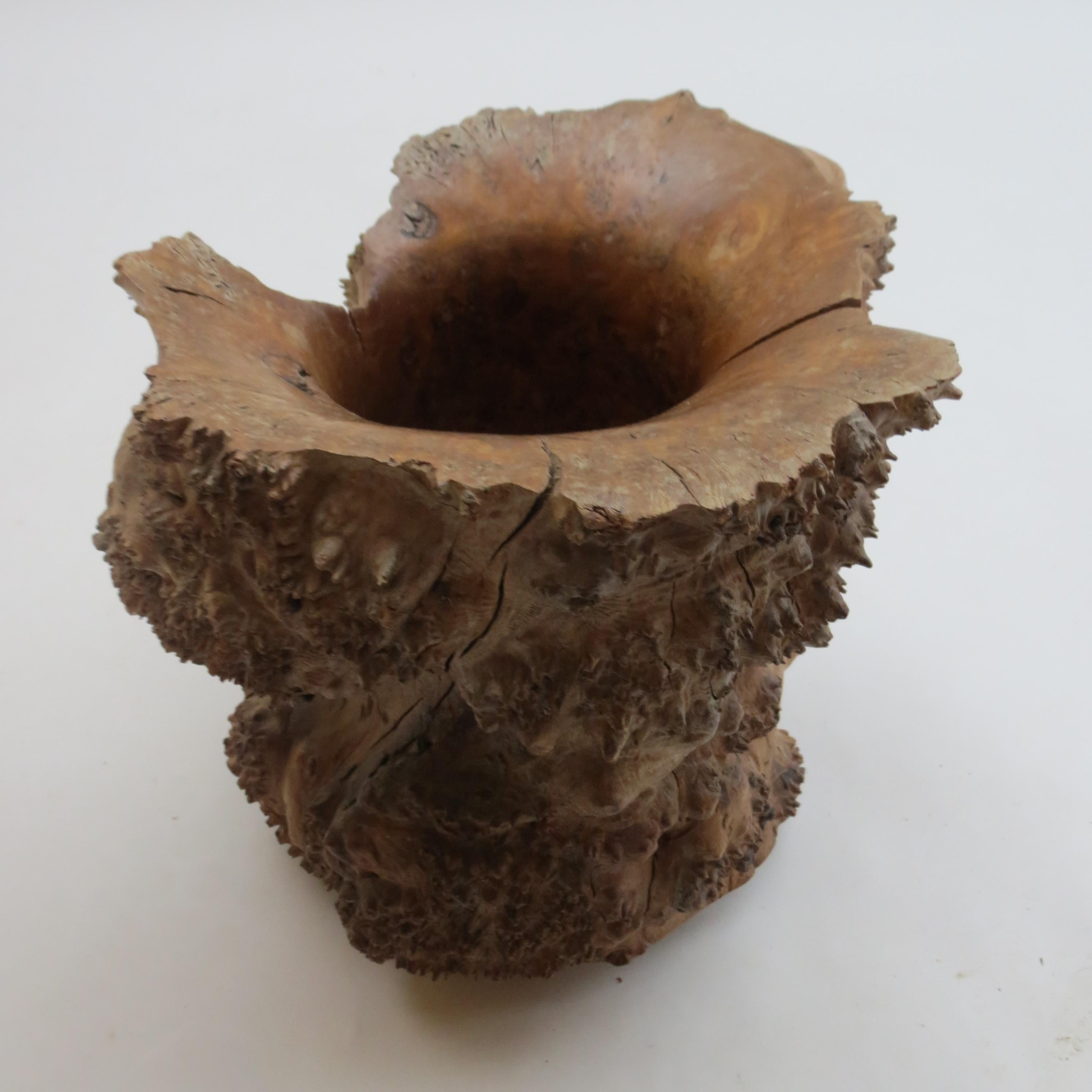 Large Hand Produced Burr Elm Root wood Brush Pot, 1980s 2