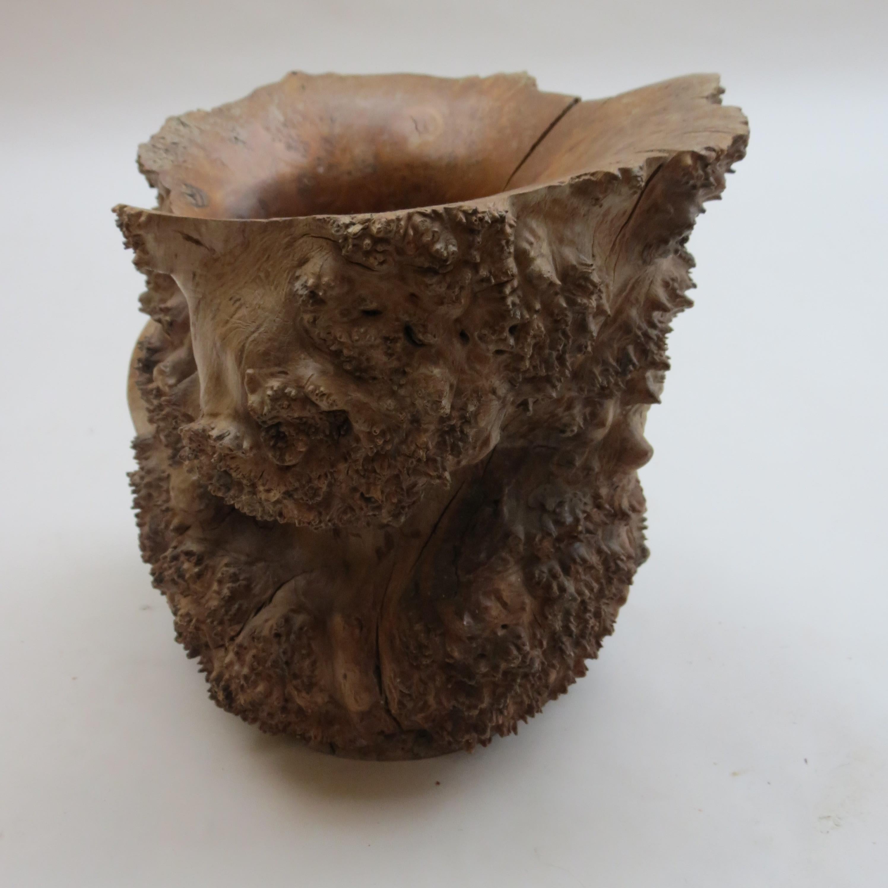 Large Hand Produced Burr Elm Root wood Brush Pot, 1980s 3