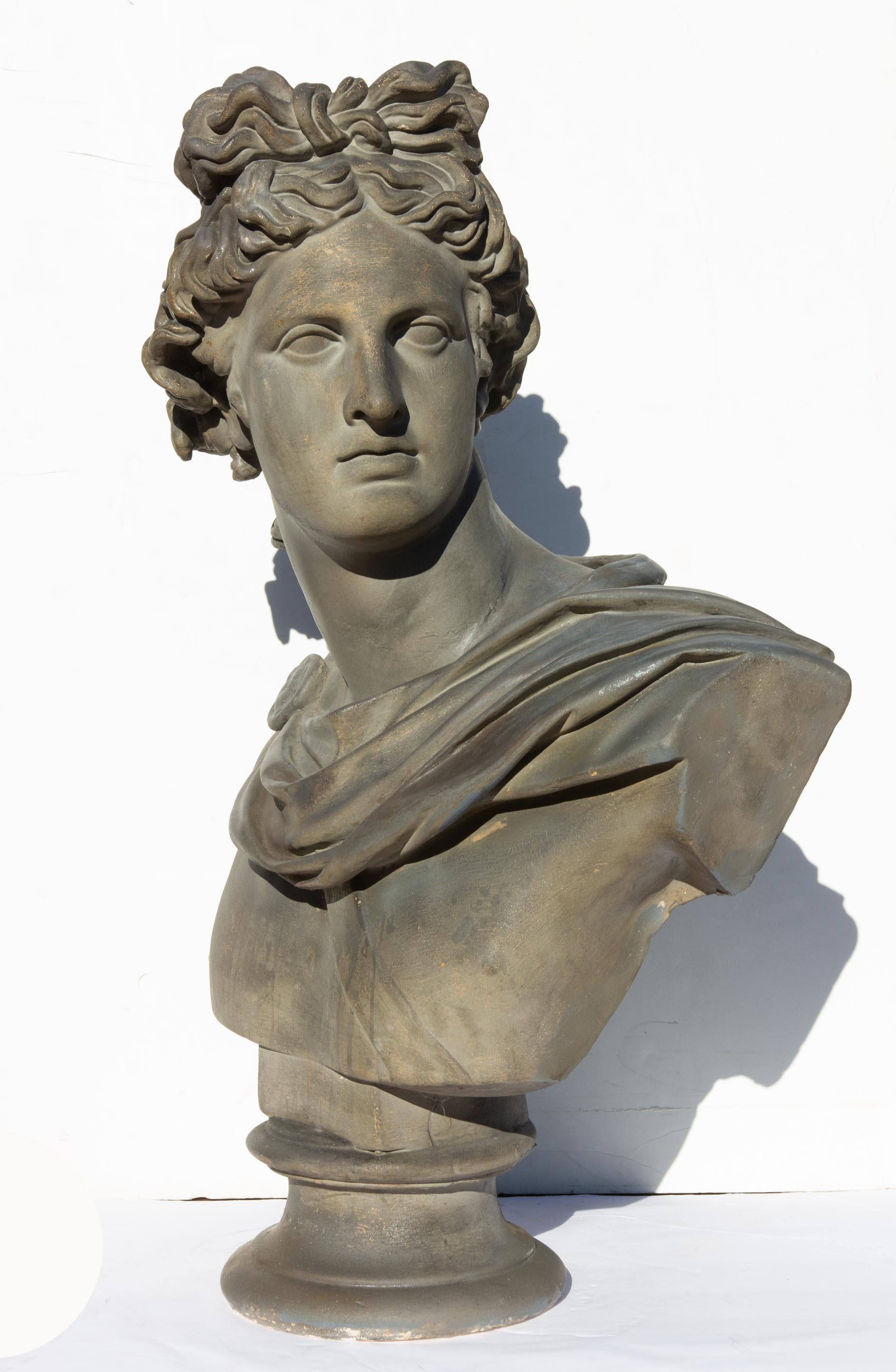 Antique bust of Apollo Belvedere. Late 19th century. Twice life-size. 32.5 high. Painted plaster. Attributed to Caproni Bros. of Boston.
  