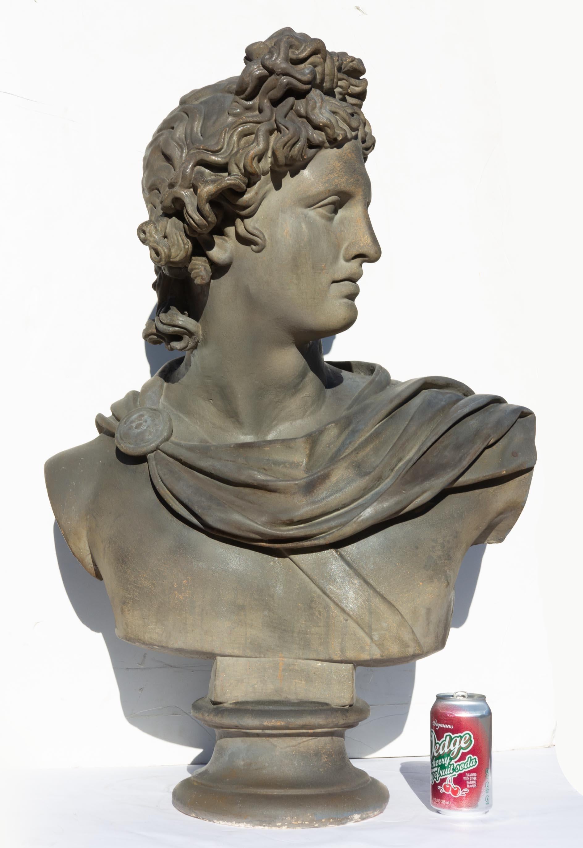 Large Bust of Apollo Belvedere Twice Life-Size In Good Condition In Rochester, NY