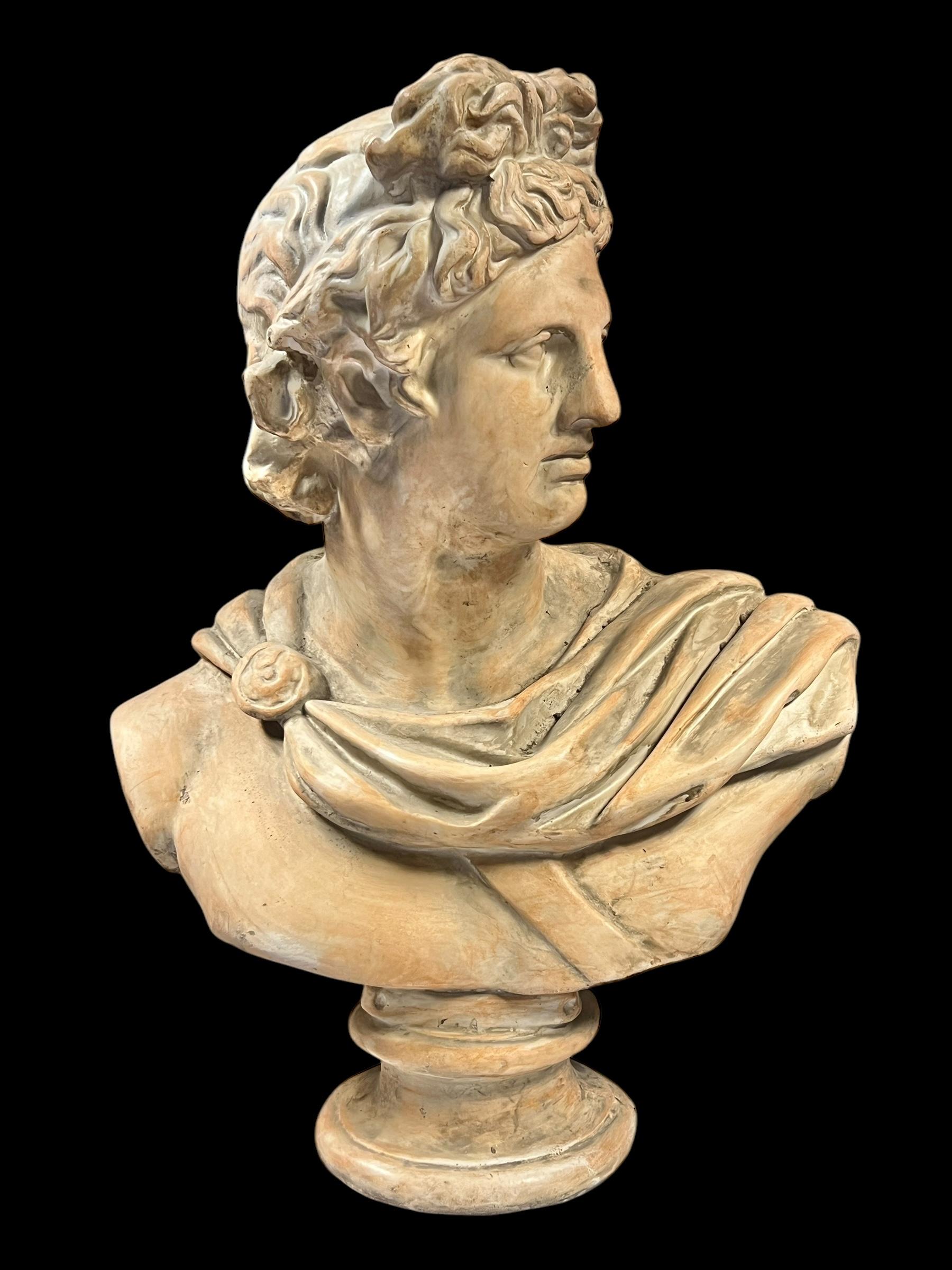 Busto molto grande (alto 31,5 pollici) del dio greco Apollo, realizzato in vetroresina con patina di marmo antico.  Senza segno.