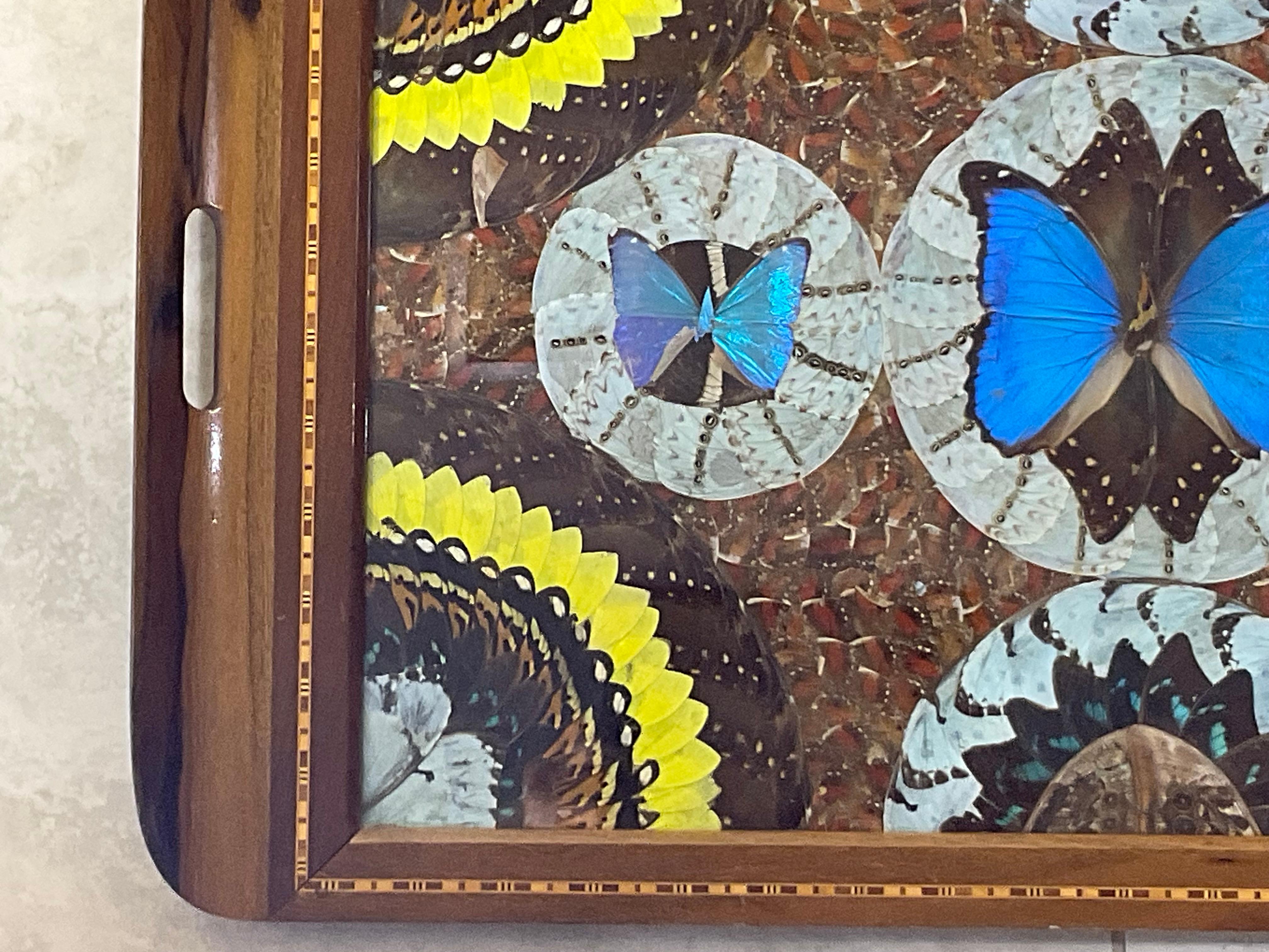 Large Butterfly Tray 29”.5 x 18” For Sale 4