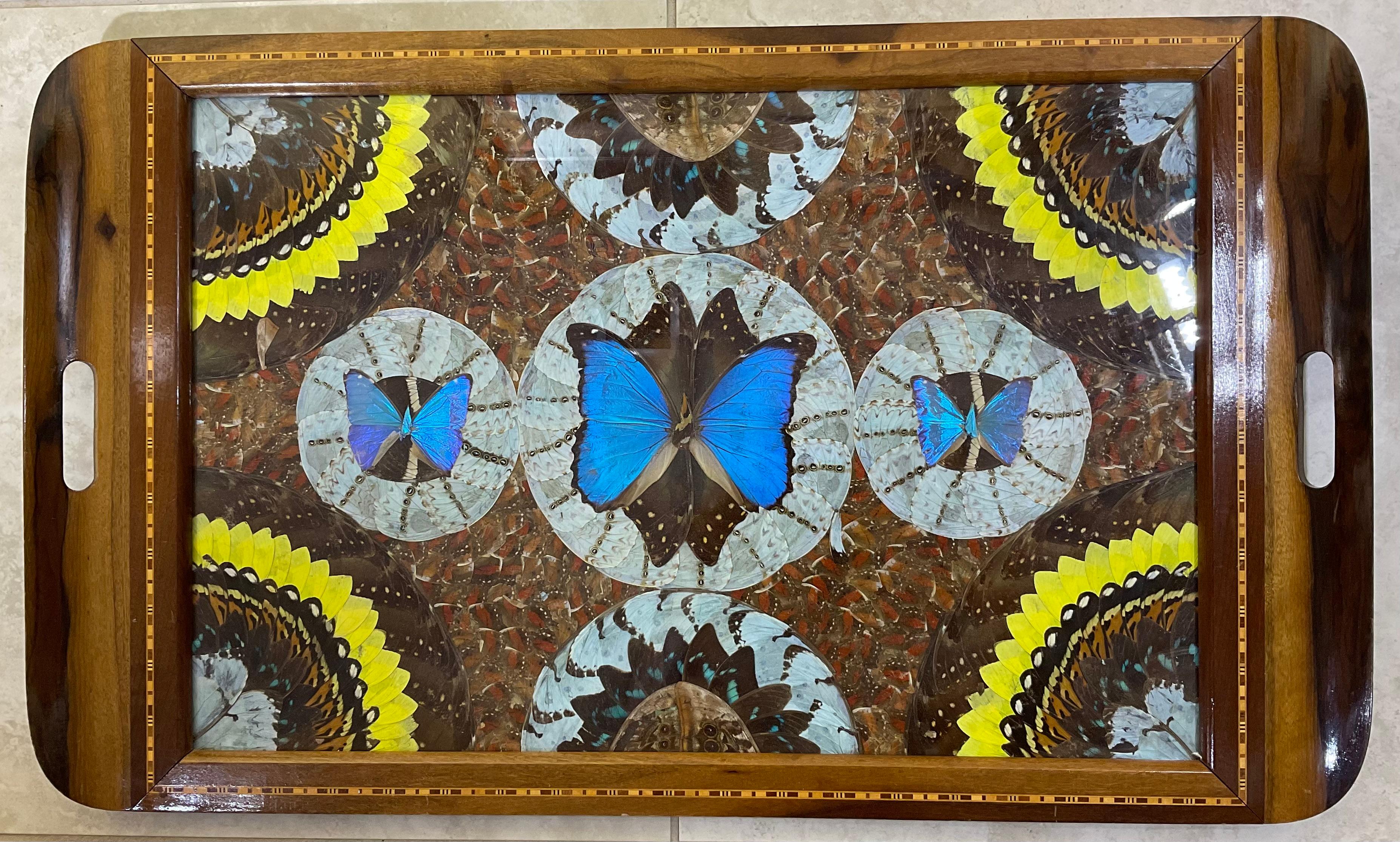 Large Butterfly Tray 29”.5 x 18” For Sale 6