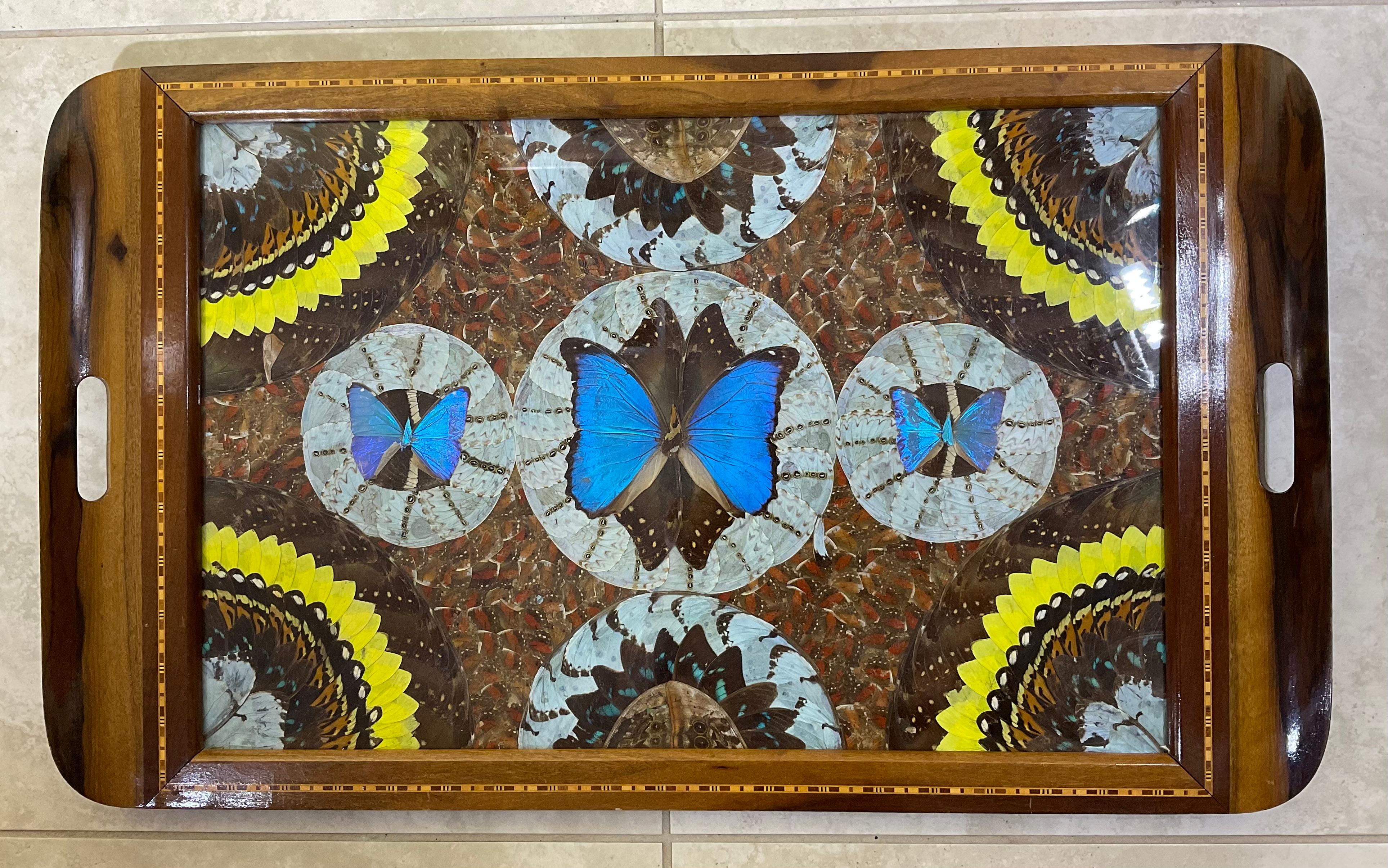 Large Butterfly Tray 29”.5 x 18” For Sale 7