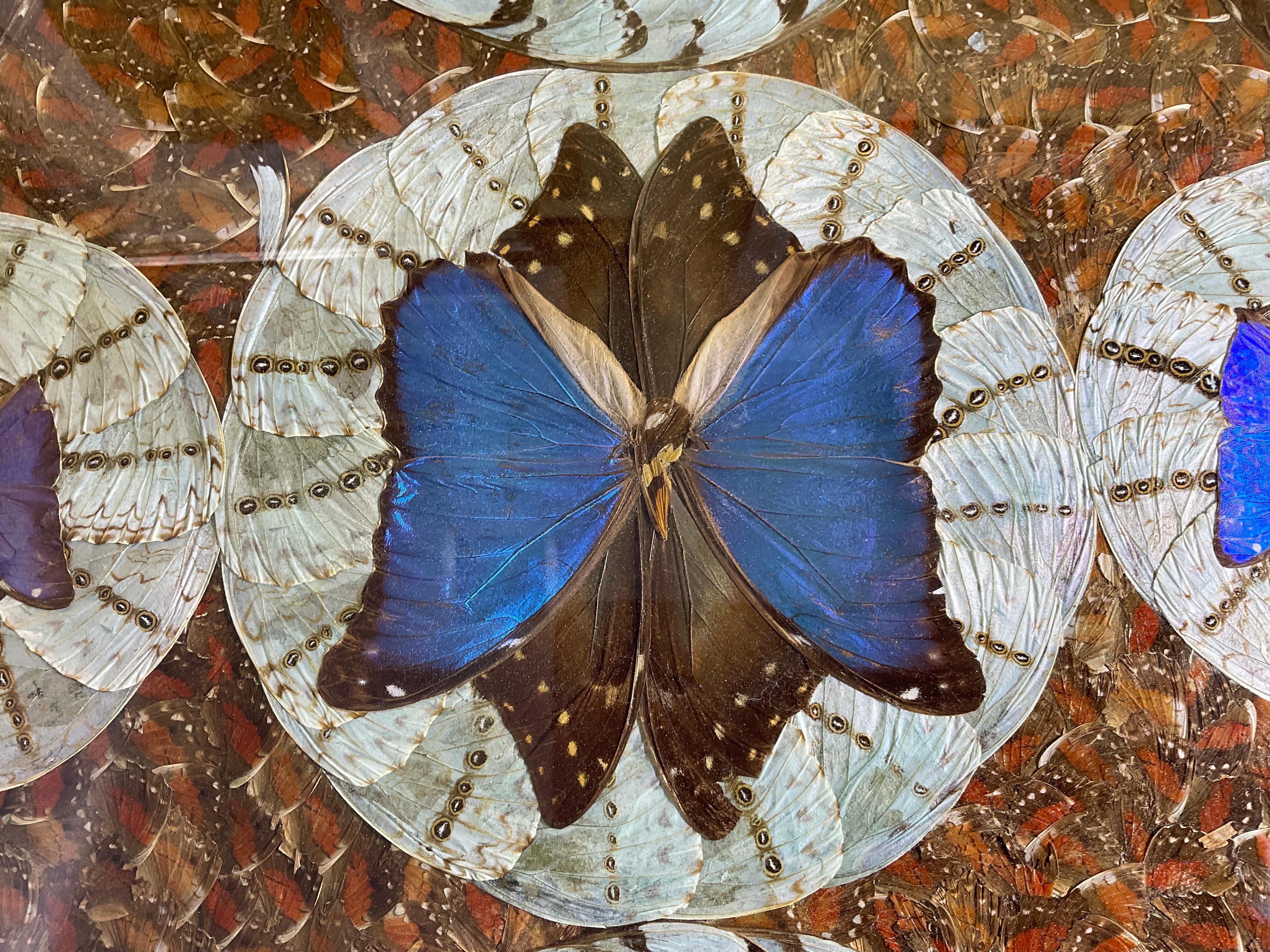 Large Butterfly Tray 29”.5 x 18” For Sale 9