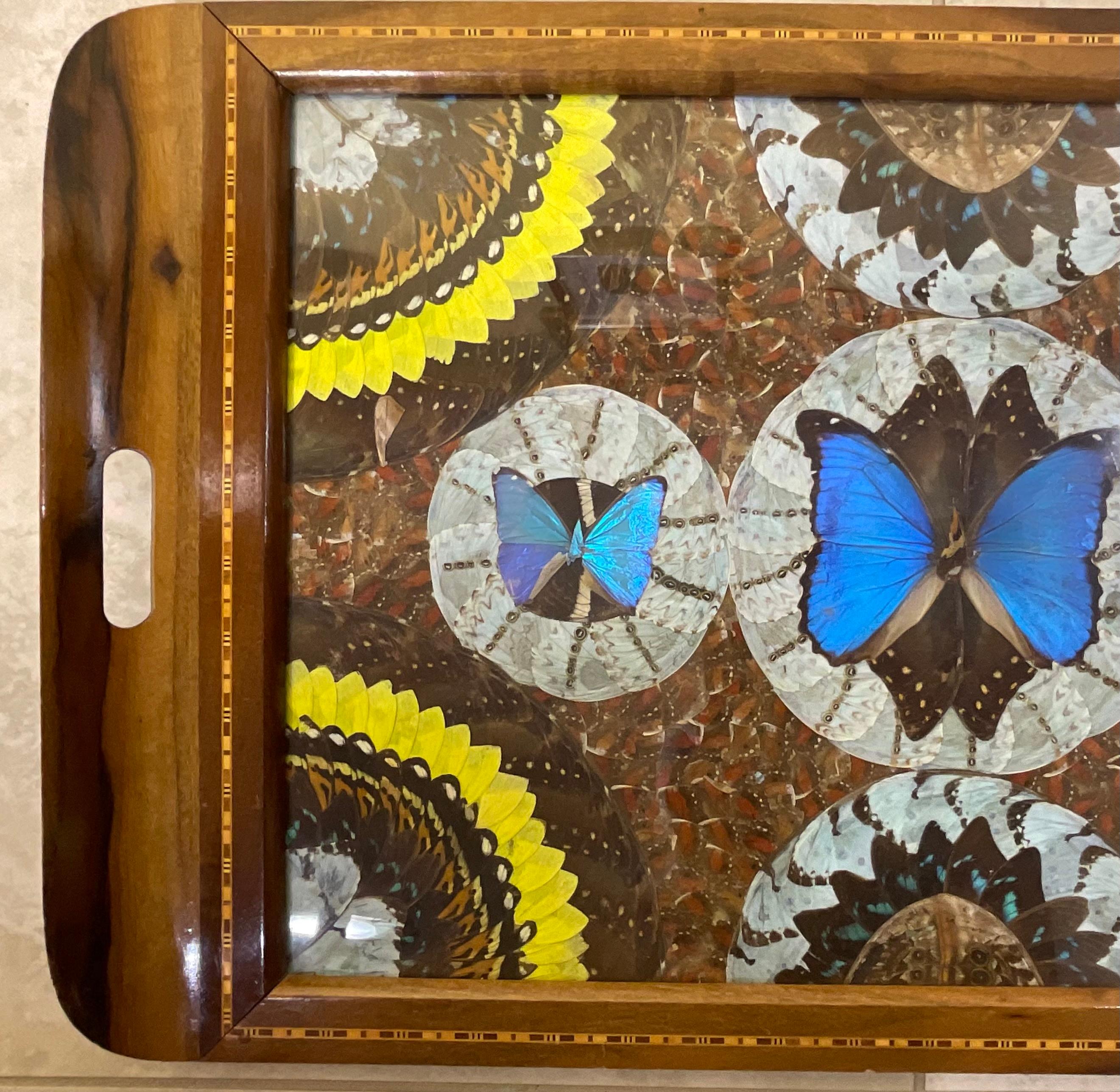 European Large Butterfly Tray 29”.5 x 18” For Sale