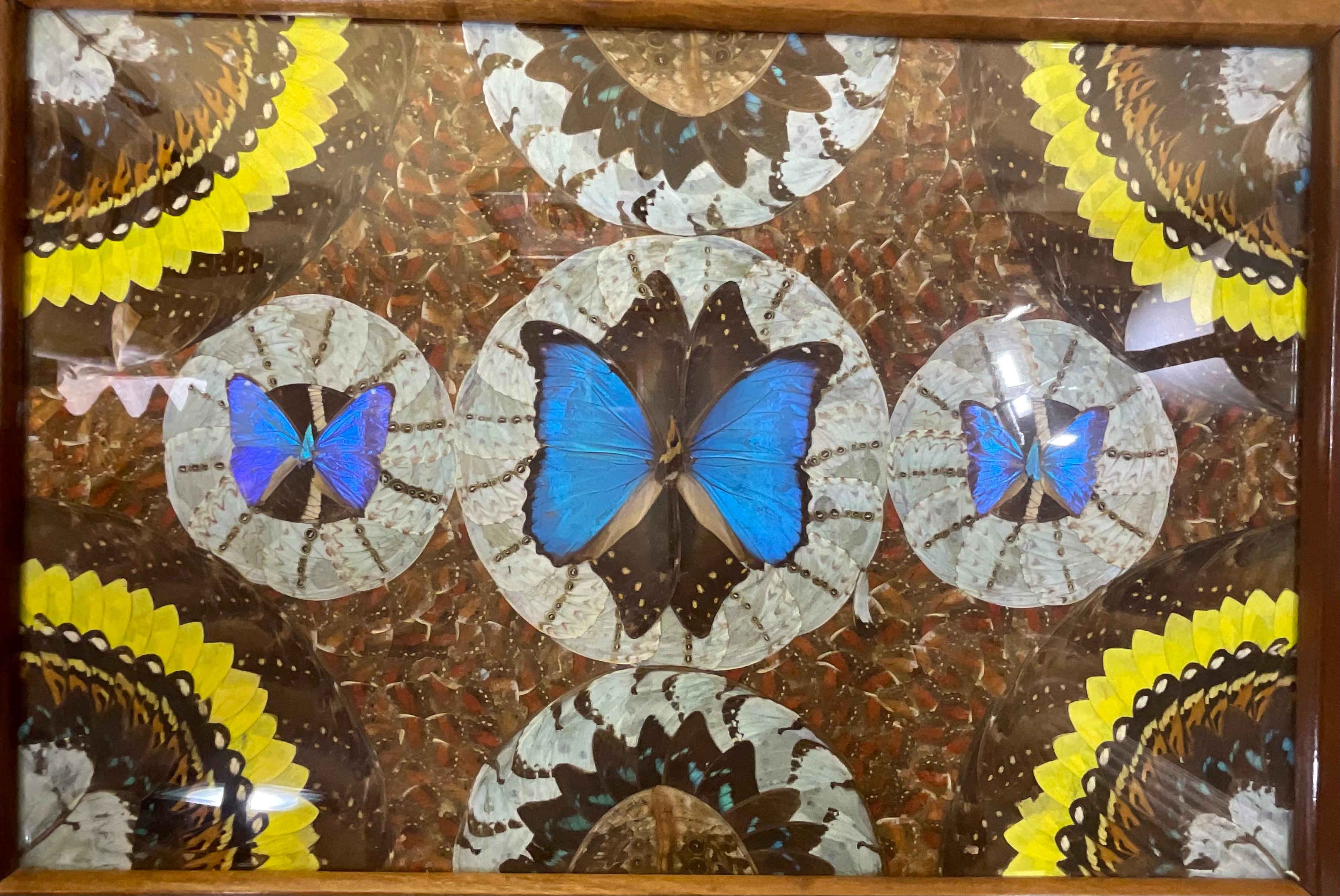 Marquetry Large Butterfly Tray 29”.5 x 18” For Sale