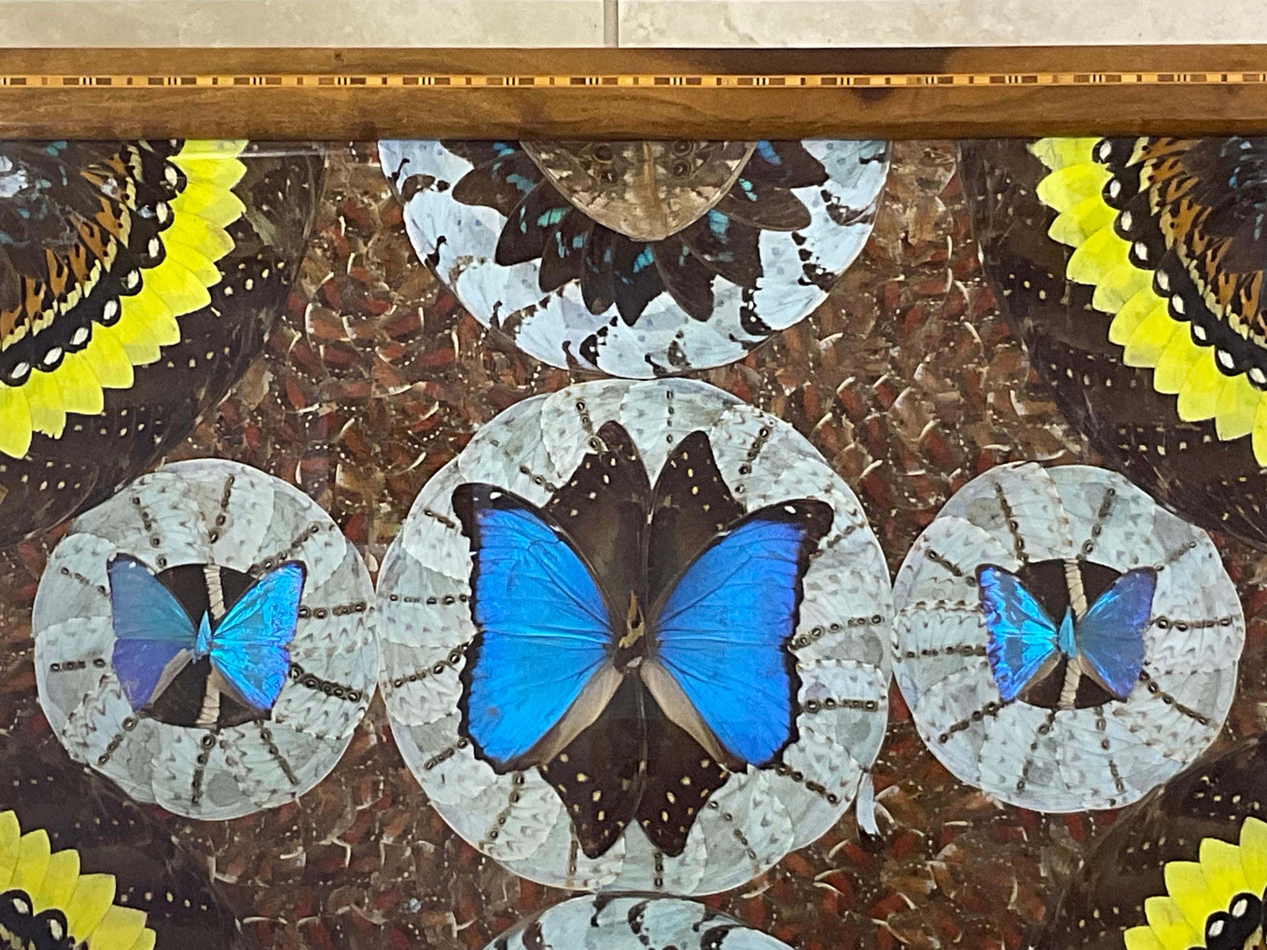 Large Butterfly Tray 29”.5 x 18” For Sale 2