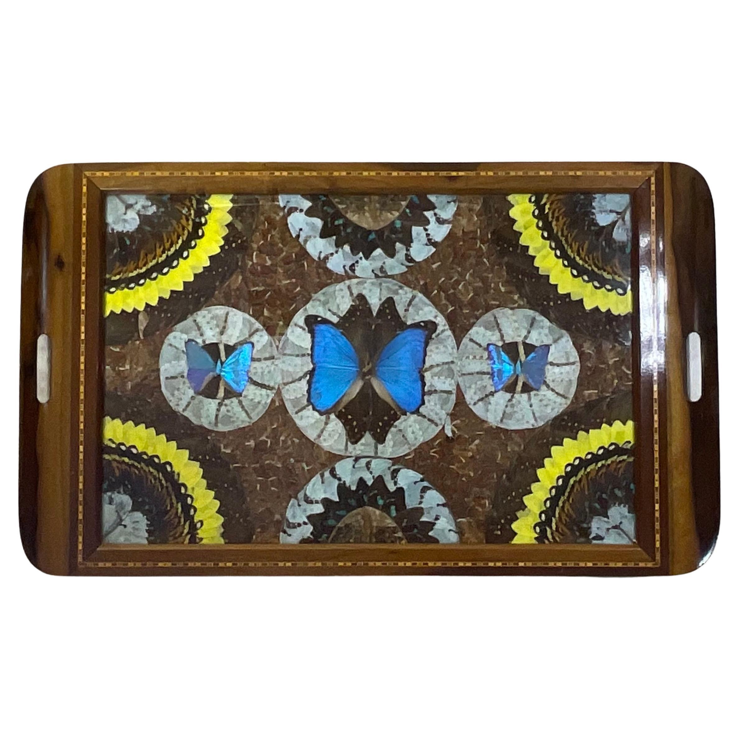 Large Butterfly Tray 29”.5 x 18” For Sale