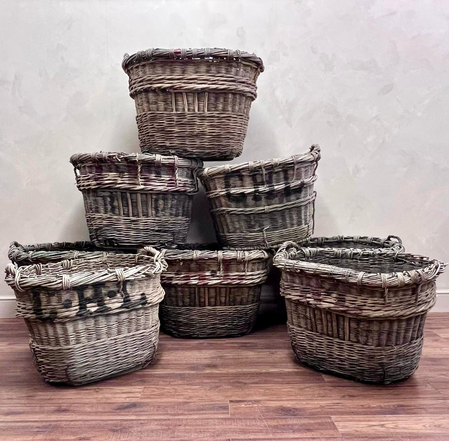 A collection of large, French, Grape Harvesting Baskets (sold individually)
Used by grape pickers of the Champagne region, over 100years ago.
The applied painted lettering signifys the vineyard the basket belonged to.
Wooden slats underneath protect