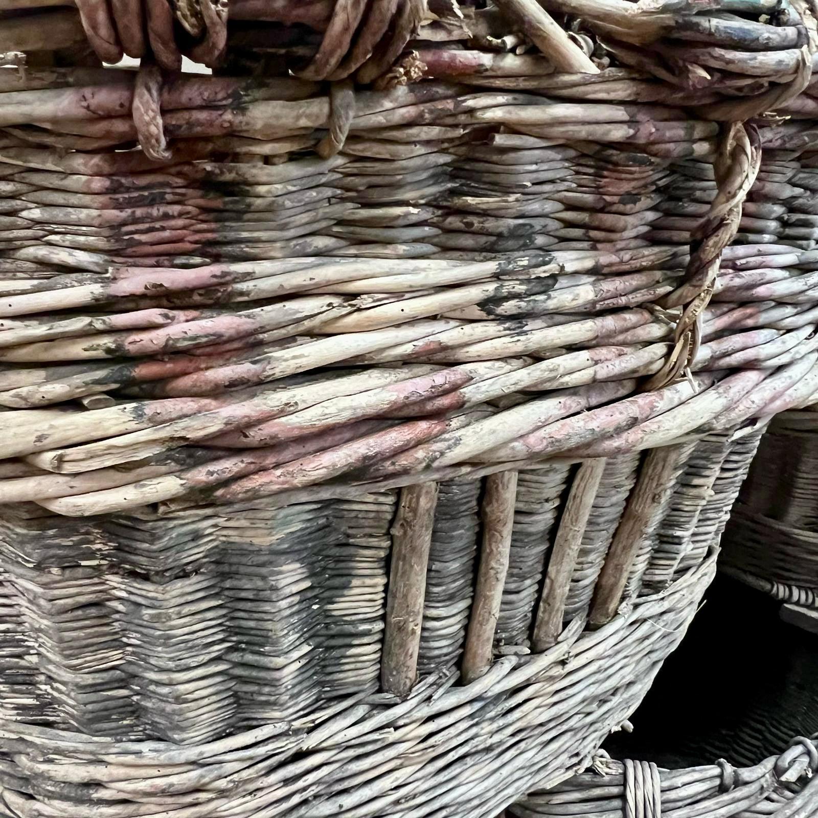Hand-Crafted Large, C1900 French Champagne Baskets -Sold individually Log Storage  For Sale