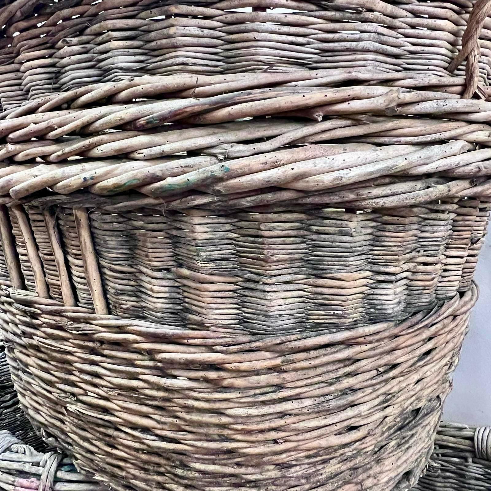 Large, C1900 French Champagne Baskets -Sold individually Log Storage  For Sale 2