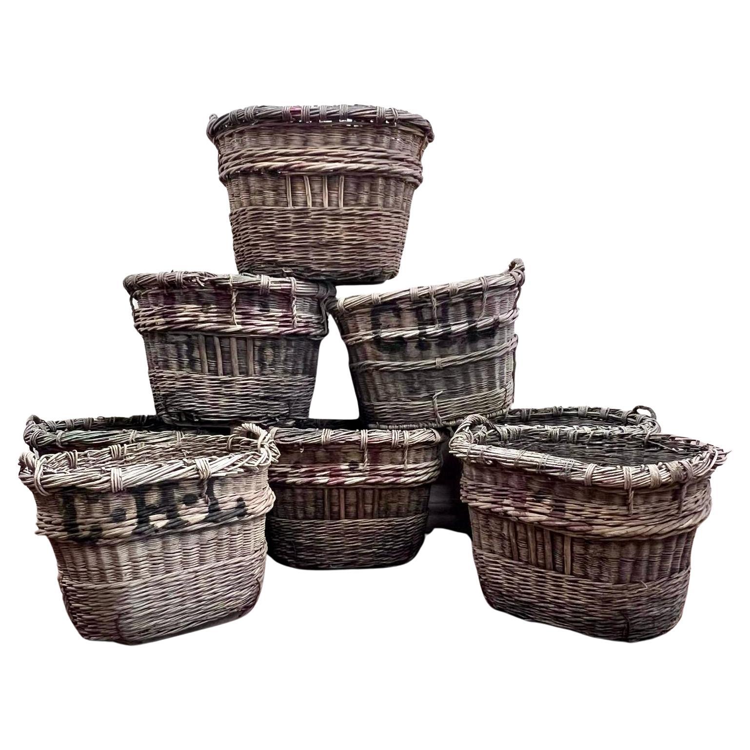 Large, C1900 French Champagne Baskets -Sold individually Log Storage  For Sale