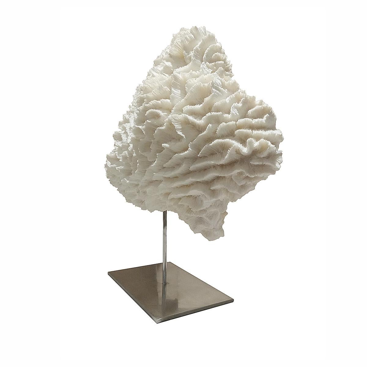 coral on a stand