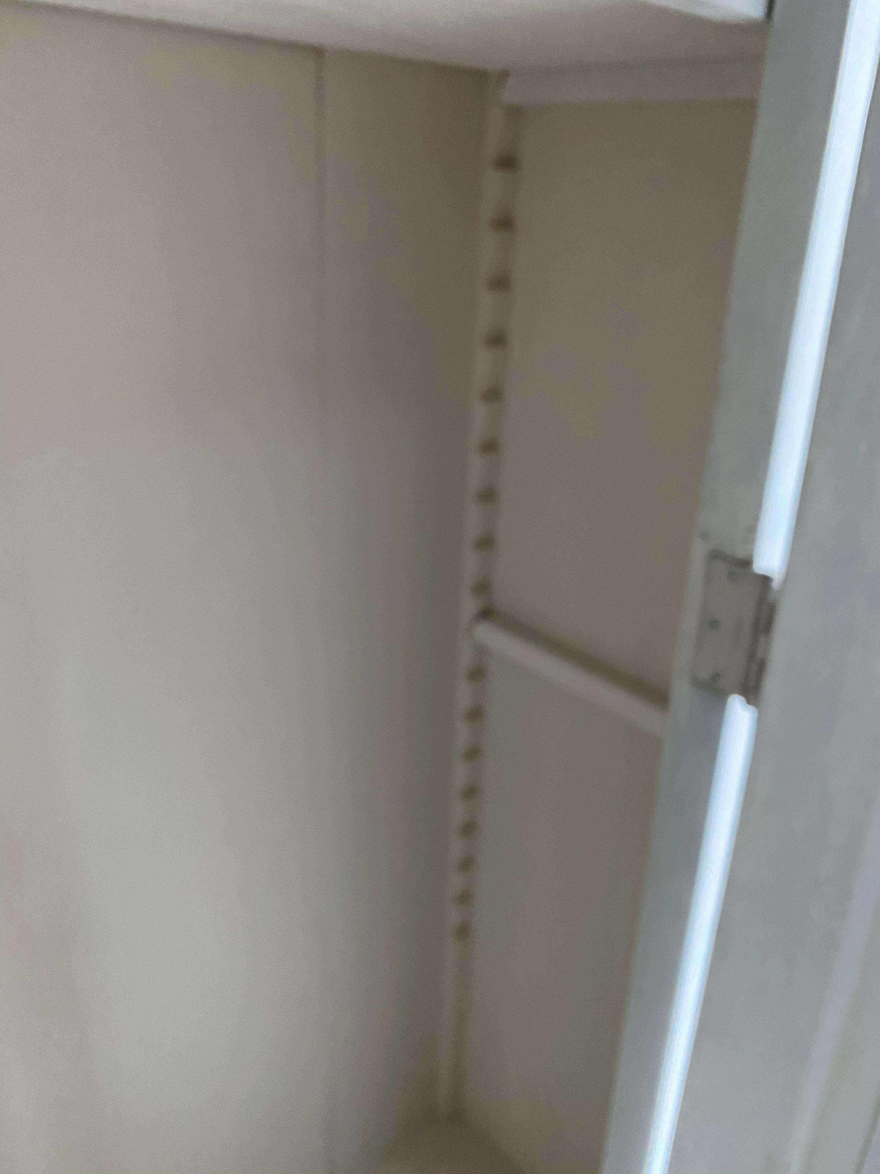 19th Century Large Narrow Depth Cupboard with Antique Doors For Sale