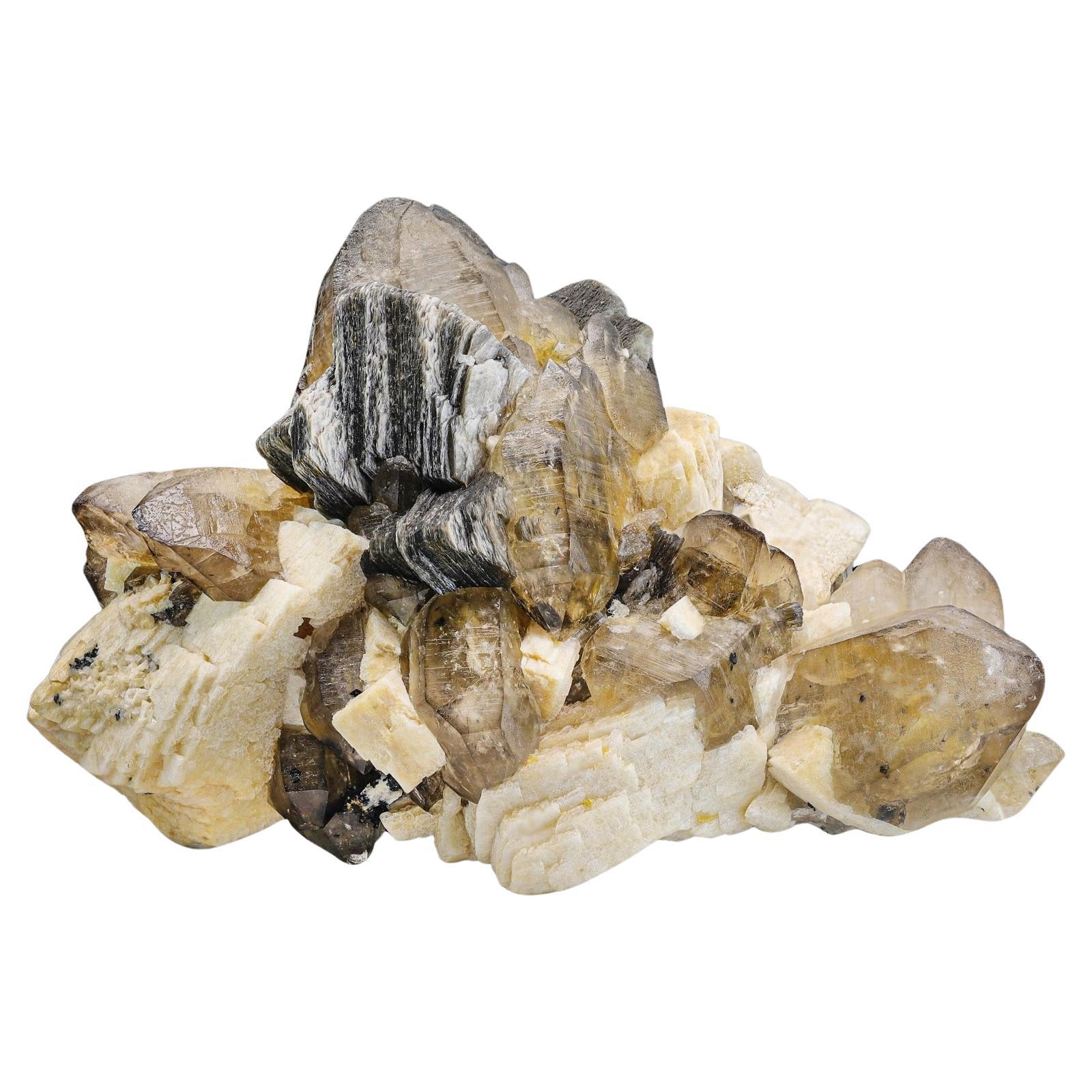 Large Cabinet Museum Level Specimen 6kg Of Smoky Quartz Crystals for Sale For Sale