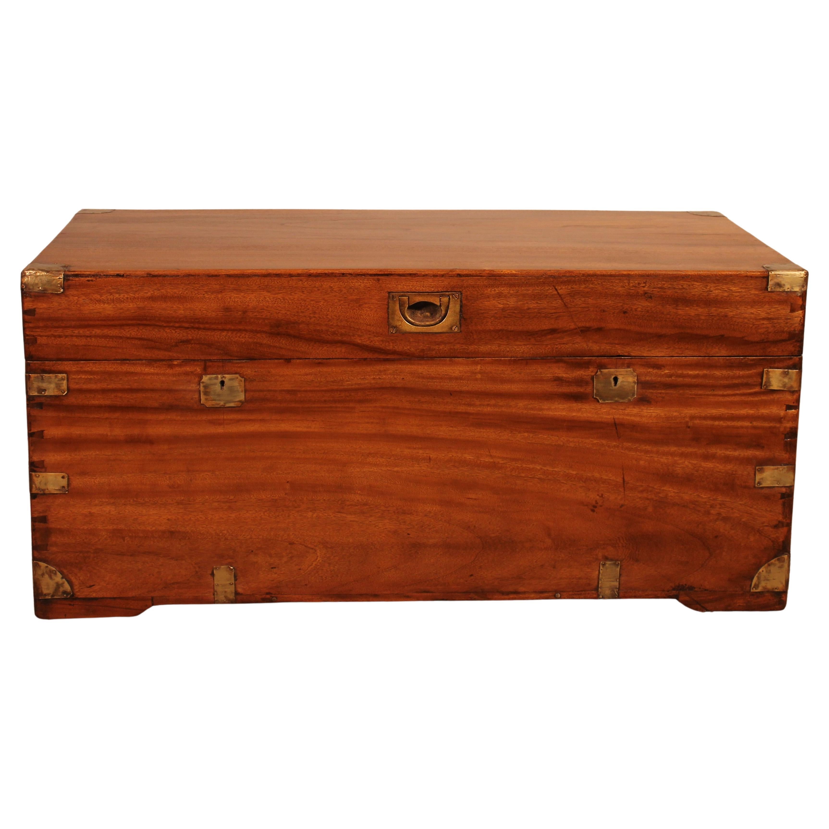 Large Campaign Chest In Camphor Wood From The 19th Century