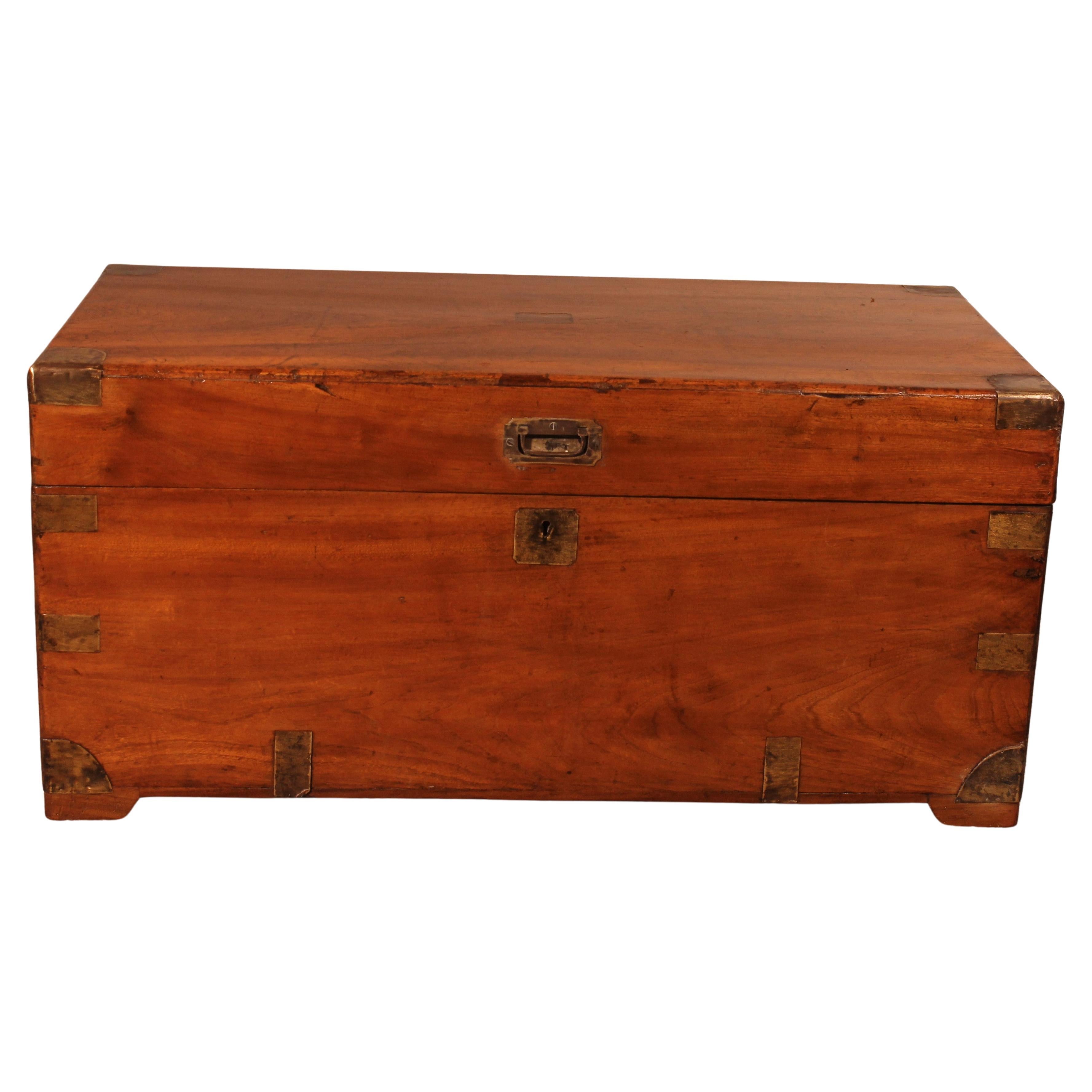 Large Campaign Chest In Camphor Wood From The 19th Century With Tray