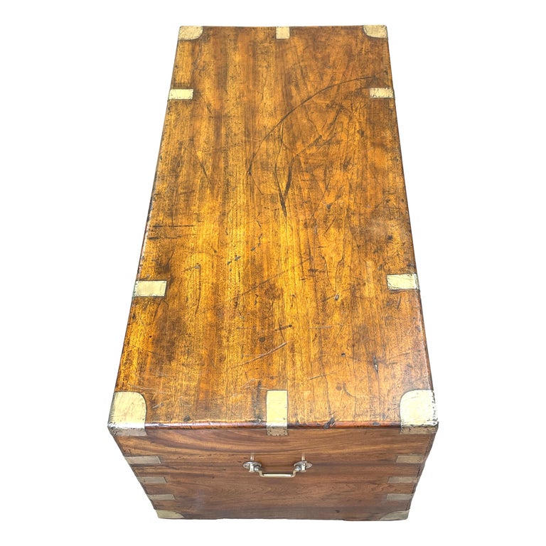 Large Camphor Wood Military Campaign Trunk For Sale 4