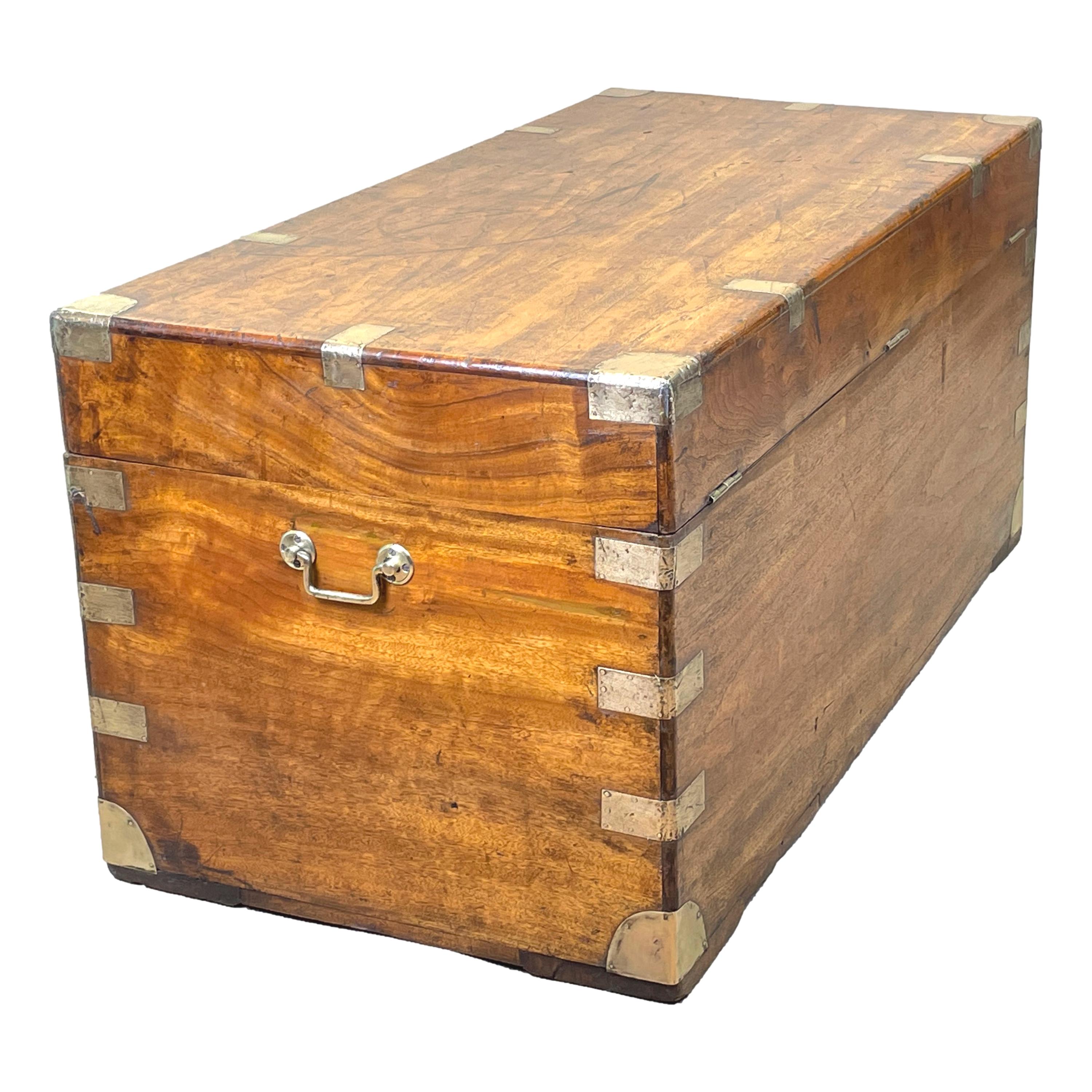 19th Century Large Camphor Wood Military Campaign Trunk