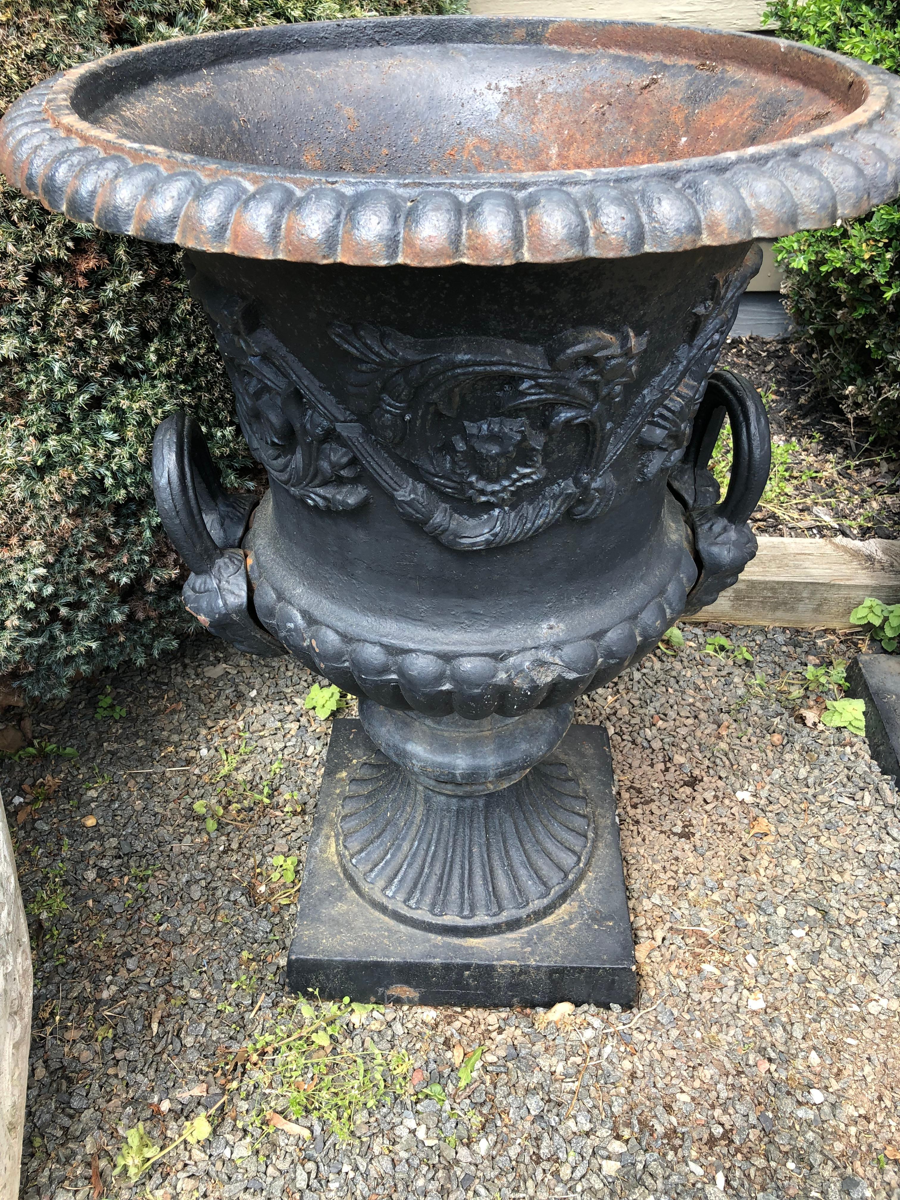 Classic capagna form black cast iron urn planters having impressive scale and style.