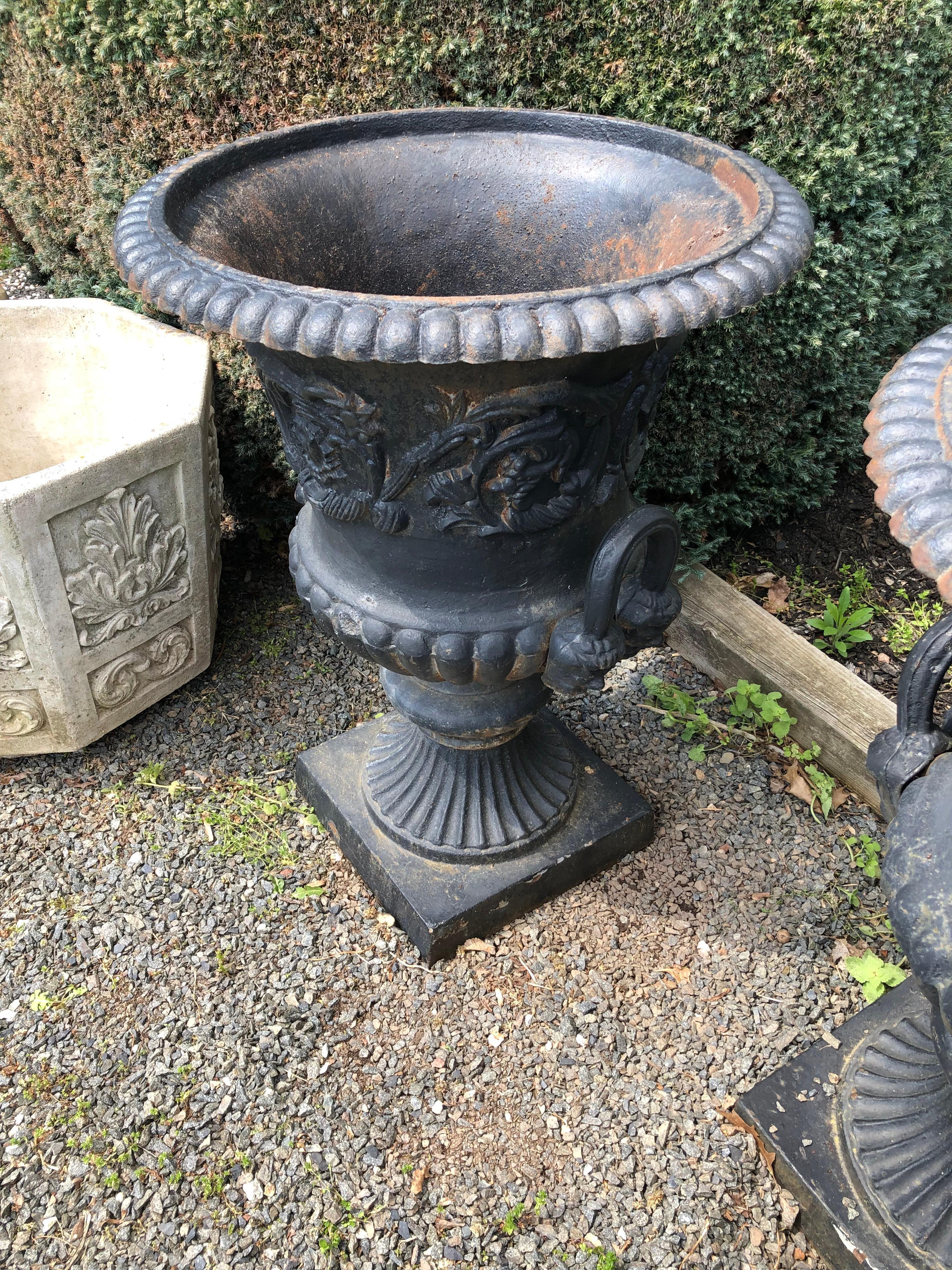 antique cast iron planters for sale