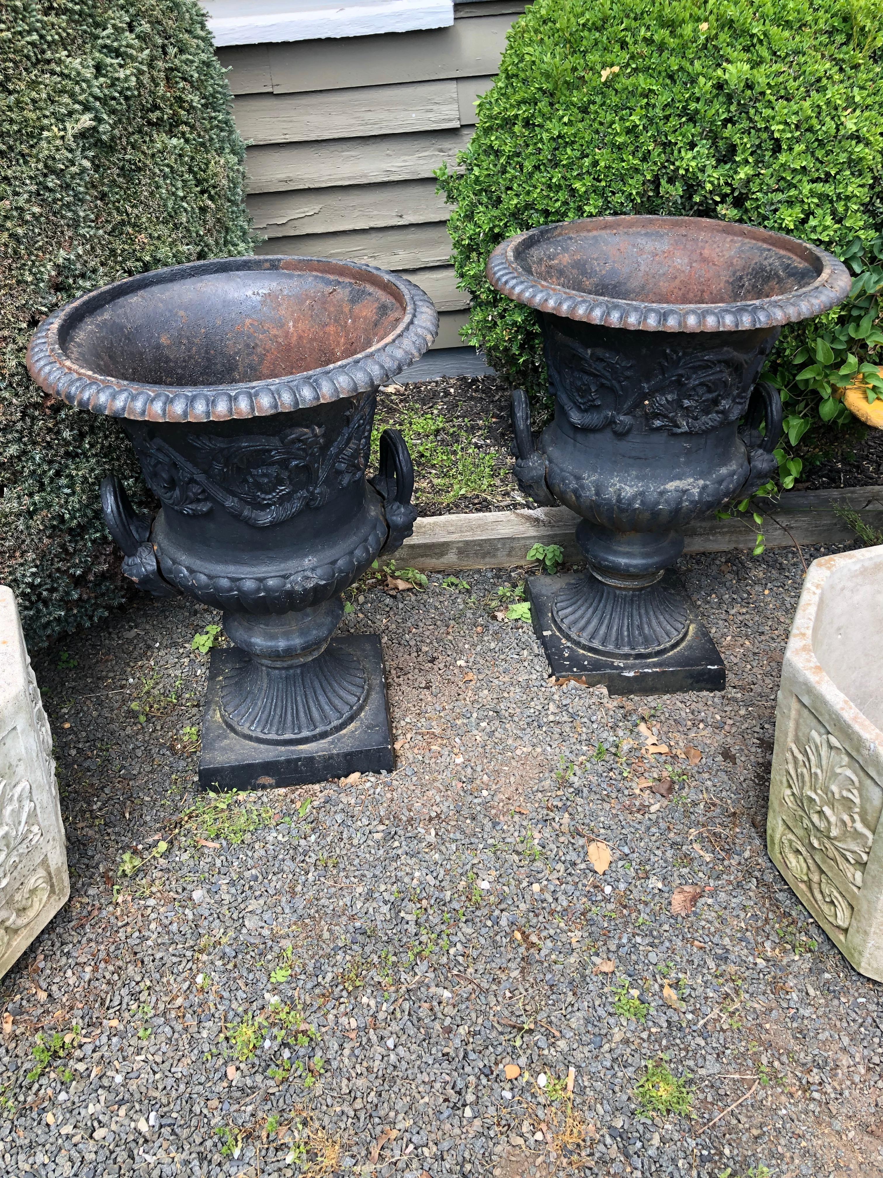 English Large Capagna Form Pair of Black Cast Iron Planters Urns For Sale