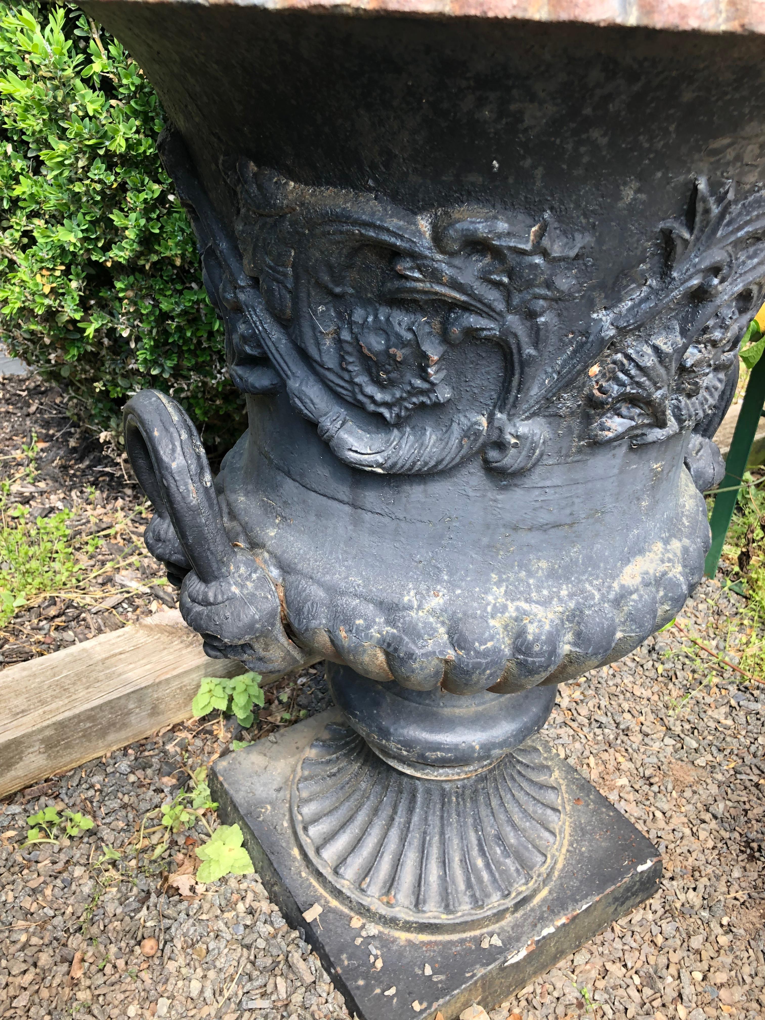 Large Capagna Form Pair of Black Cast Iron Planters Urns In Good Condition For Sale In Hopewell, NJ