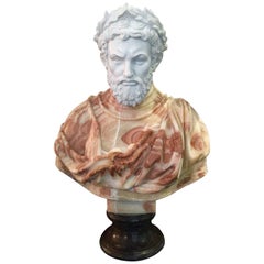 Large Carved Neoclassical Greco-Roman Style Marble Bust
