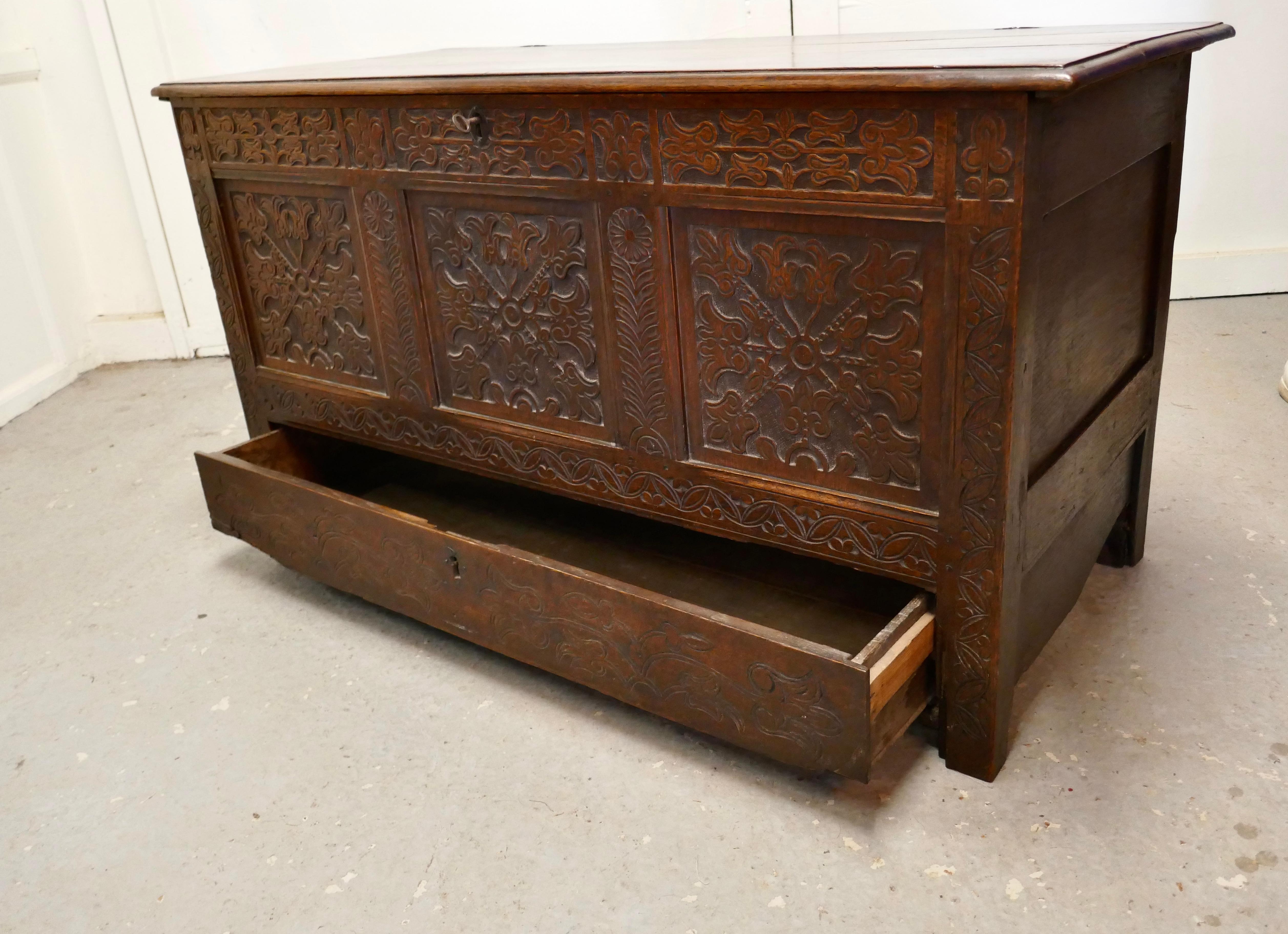 Large Carved Oak Mule Chest, Marriage Chest 4