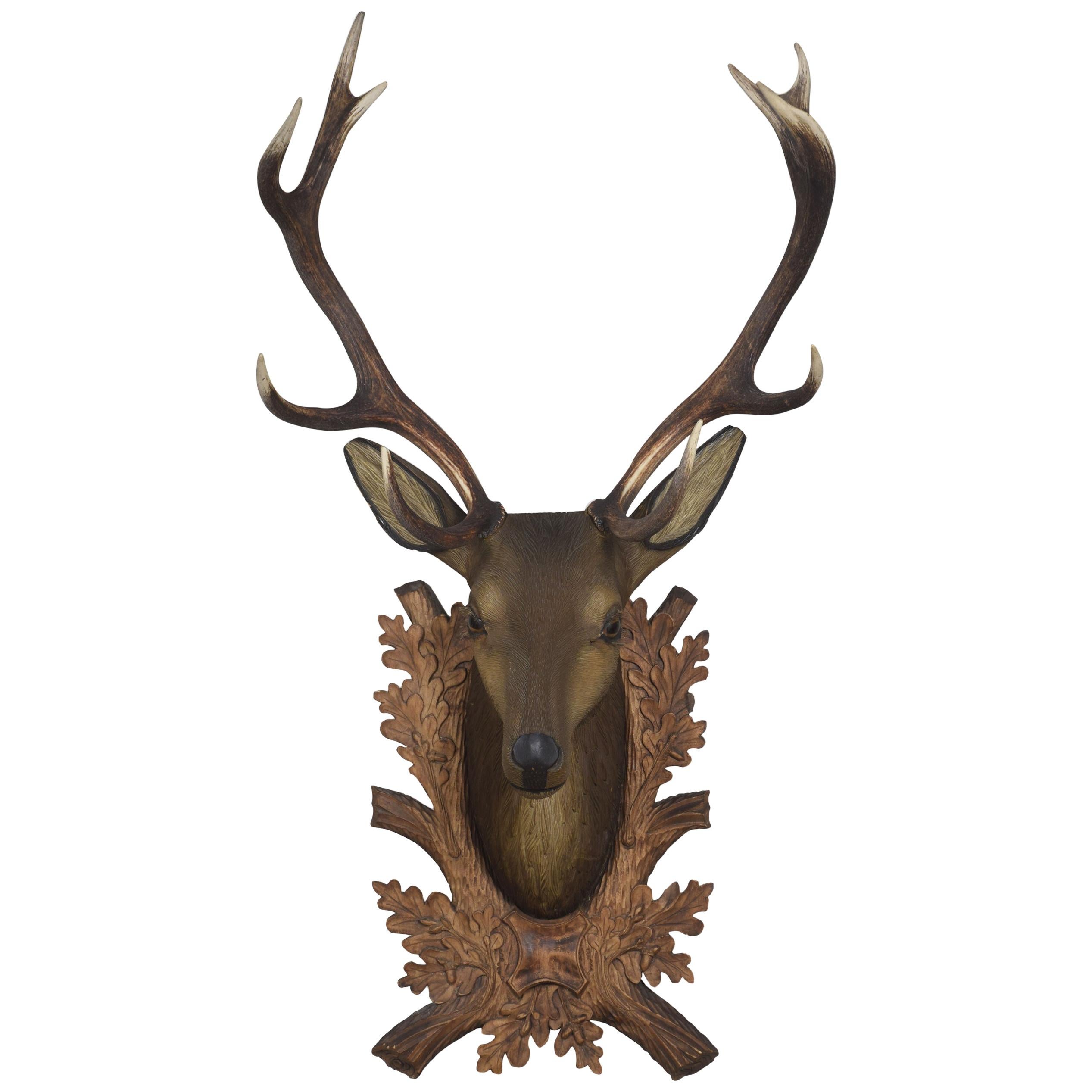 Large Carved Polychrome Decorated Stags Head For Sale