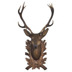 Large carved polychrome decorated stags head