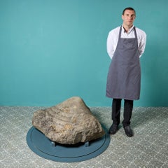 Large Carved Stone Clam Shell Sculpture