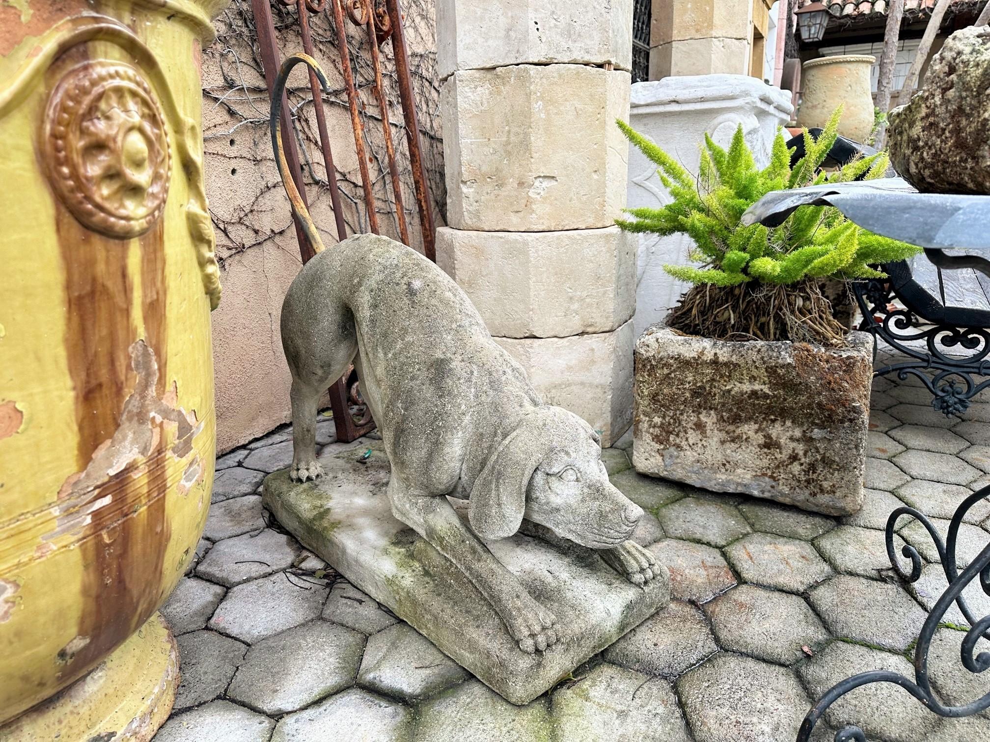 Paire de figurines en pierre sculptée de chiens de chasse Jardin Statues anciennes Amoureux des animaux en vente 6