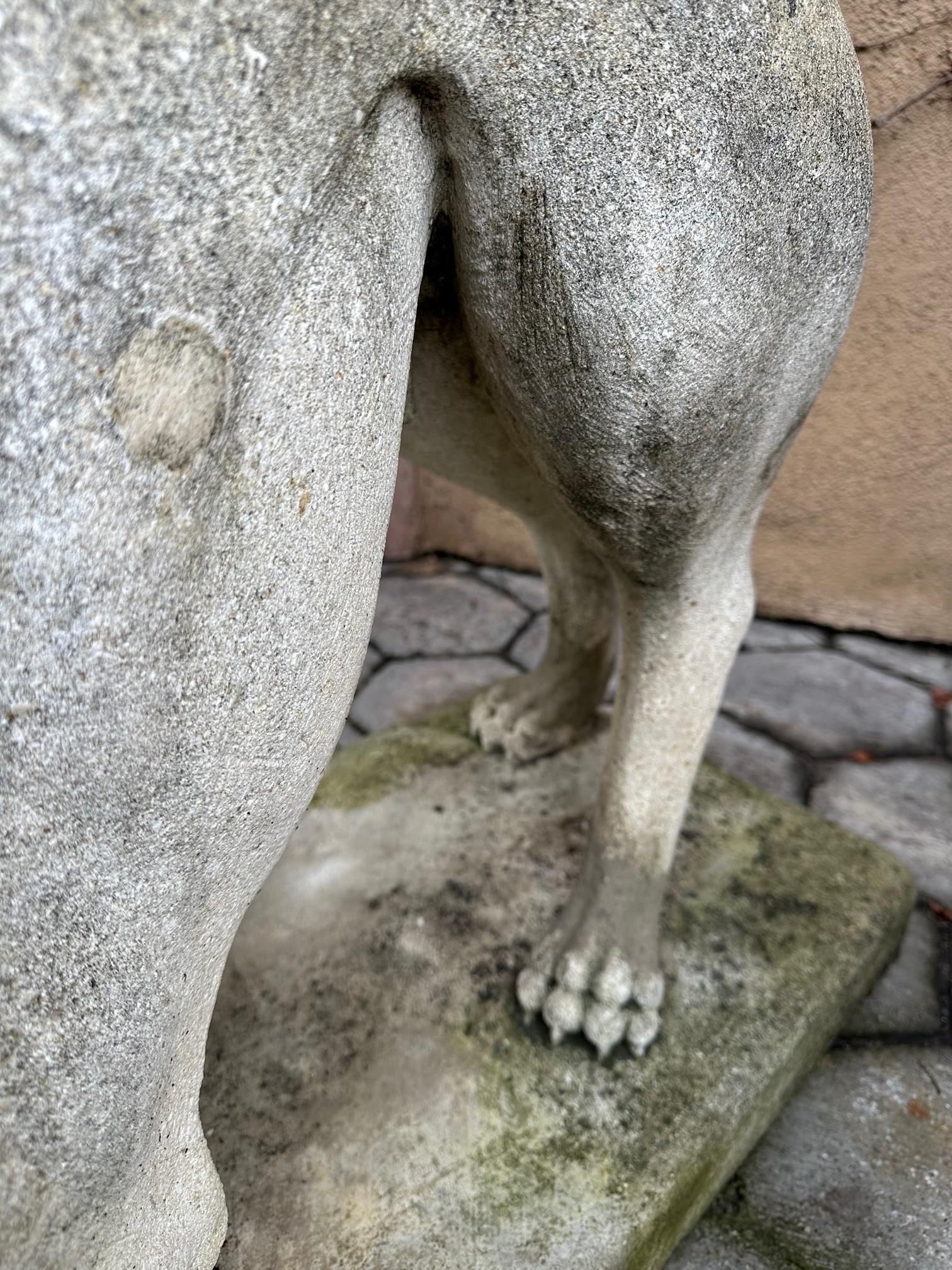 Paire de figurines en pierre sculptée de chiens de chasse Jardin Statues anciennes Amoureux des animaux en vente 9