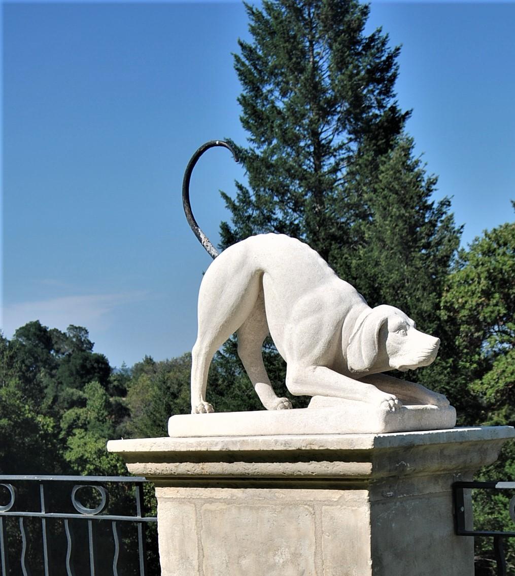Paire de figurines en pierre sculptée de chiens de chasse Jardin Statues anciennes Amoureux des animaux en vente 10