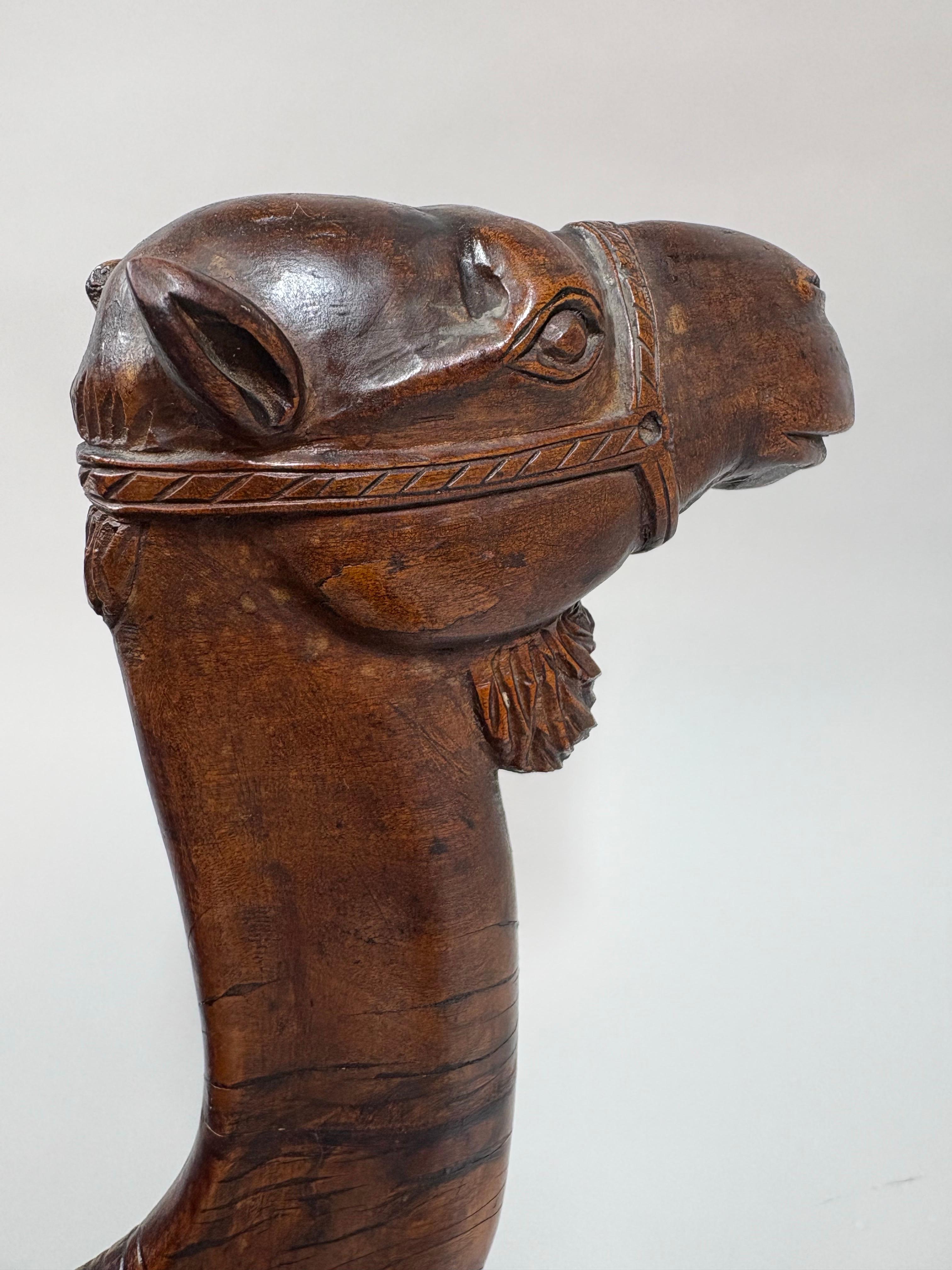 Large carved wood Austrian novelty box in the form of a Camel, circa 1910 For Sale 9