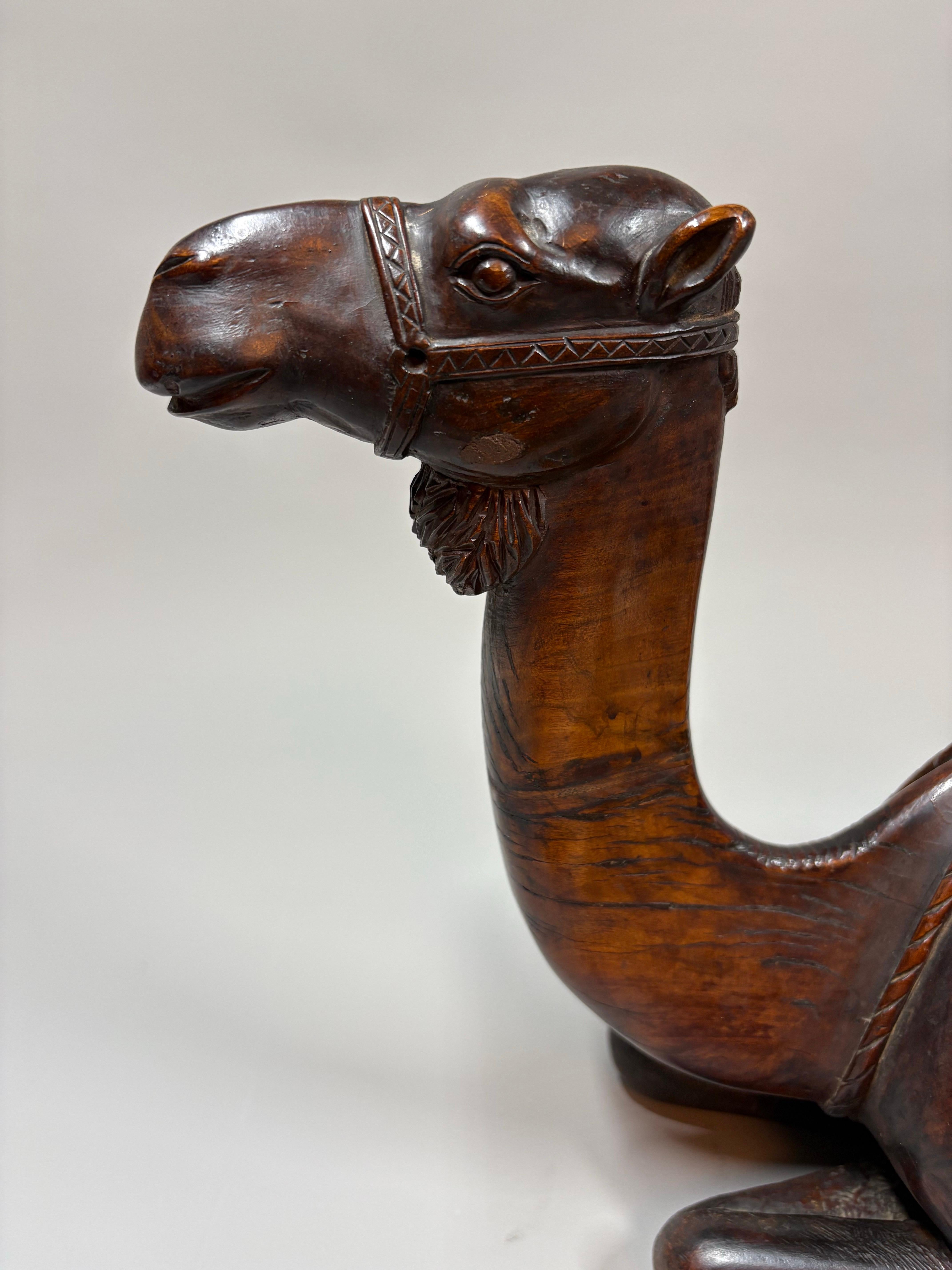 Large carved wood Austrian novelty box in the form of a Camel, circa 1910 For Sale 2
