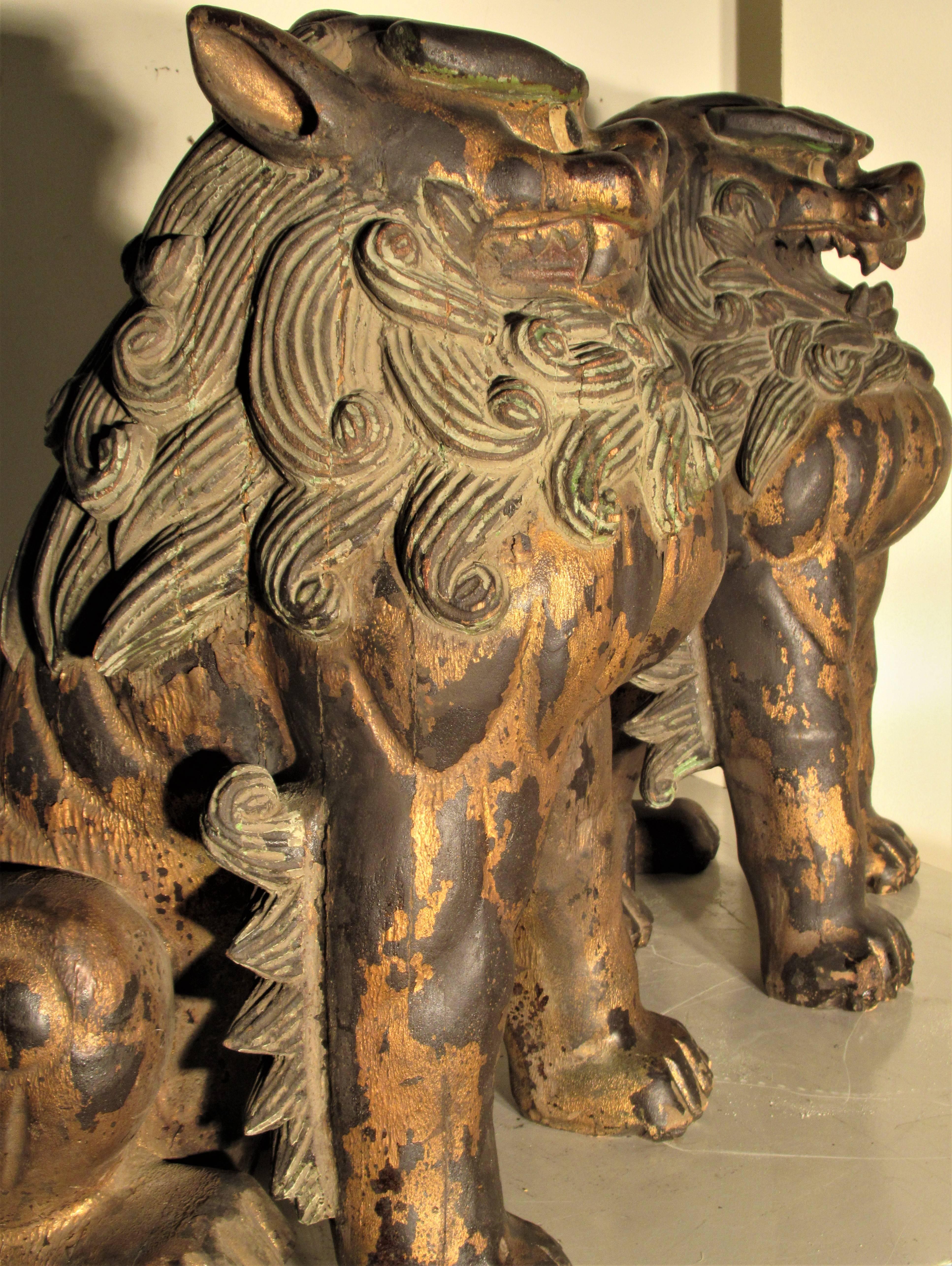 Large Carved Wood Foo Dog Lion Statues 9