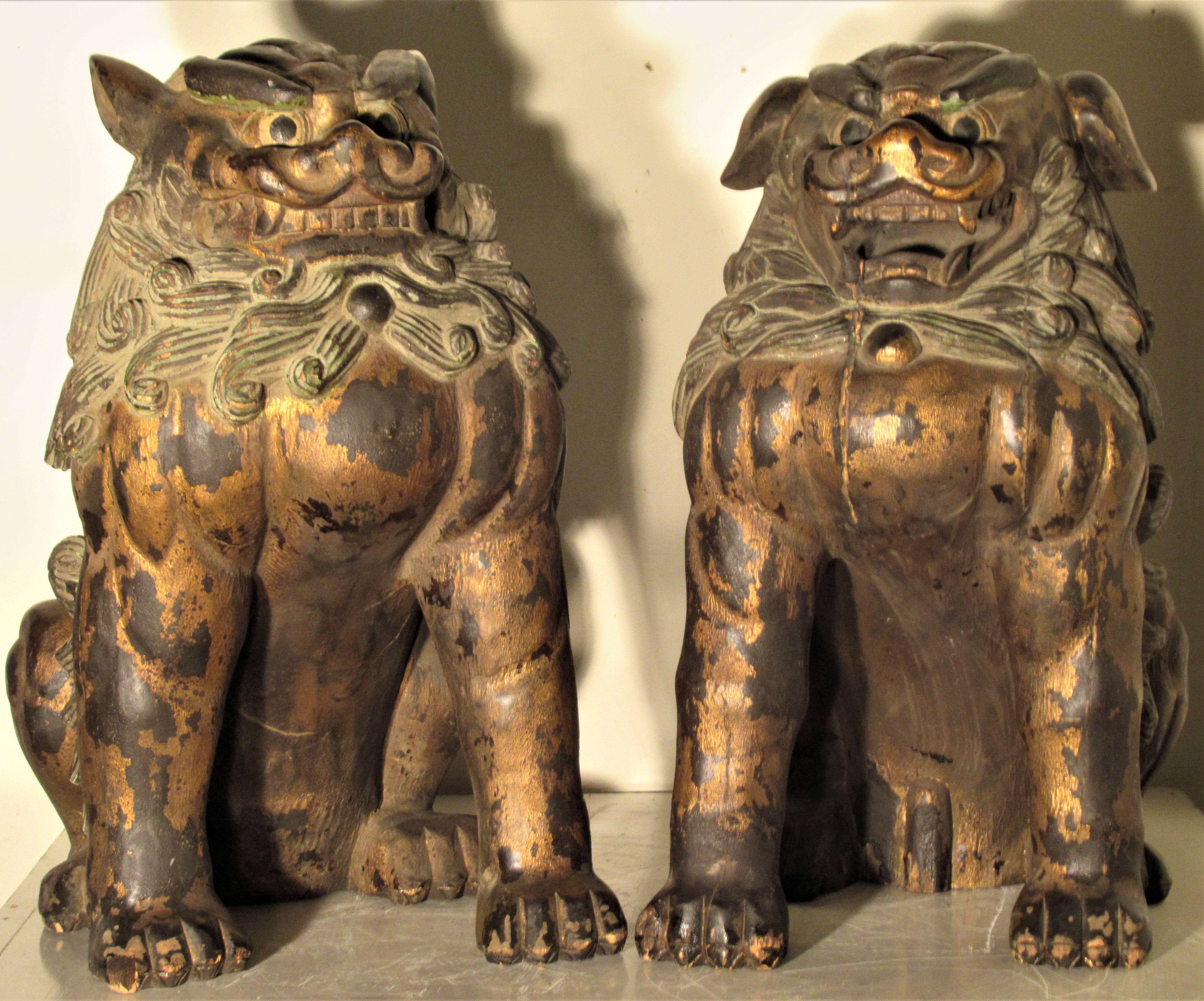 Large and impressive true pair of carved wood food lion dogs in beautifully aged original gilded and polychrome painted surface. Both dogs with striking expressive features and they look great from all angles. We think these date circa 1930-1940 but