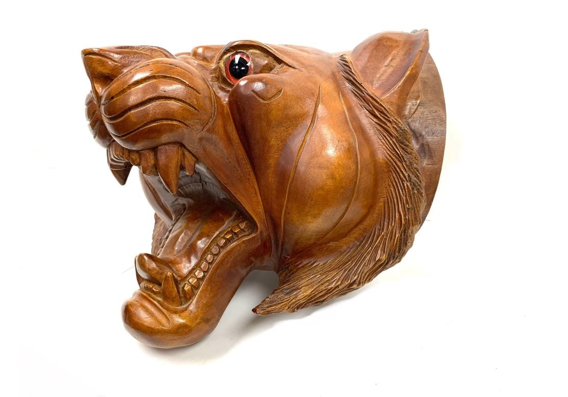 The large scale fierce tiger head is carved of fine reddish brown wood and is shown turning and growling with jaws open revealing his sharp and lethal fangs. The ruff is finely carved and frames the cheeks. With glass eyes. There is a loop on the