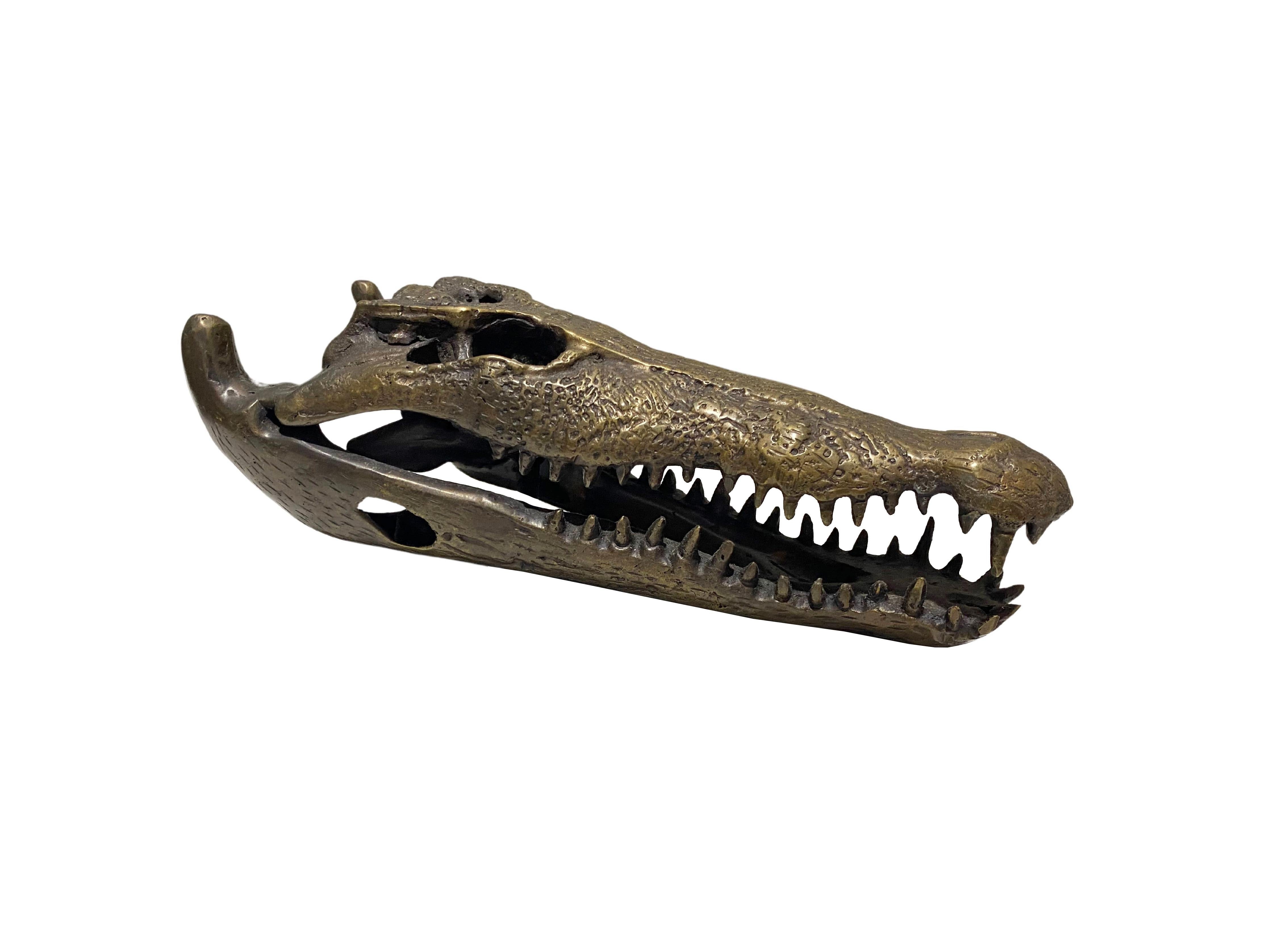 A wonderful example of a hollow-cast bronze crocodile skull. This piece features wonderful detail and resemblance to a real specimen. An exotic piece certain to invoke conversation. Suitable for both indoor or outdoor spaces.
 