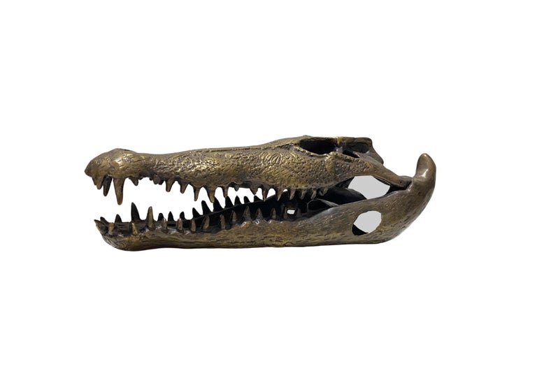 Life Sized Cast Bronze Crocodile Skull Sculpture For Sale at 1stDibs