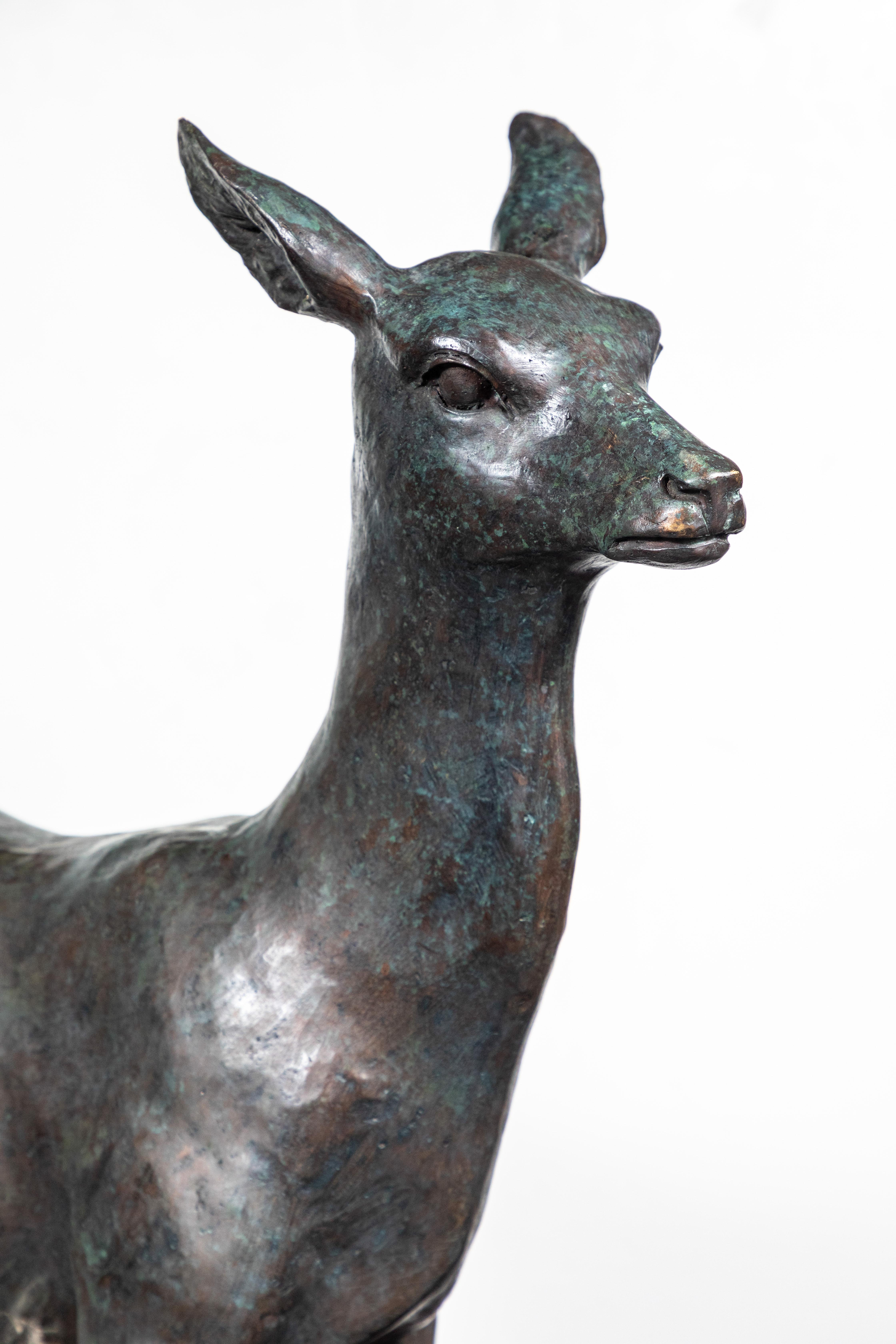 Substantial, sensitively molded, graceful circa 1940, hand-cast, bronze sculpture of a doe.