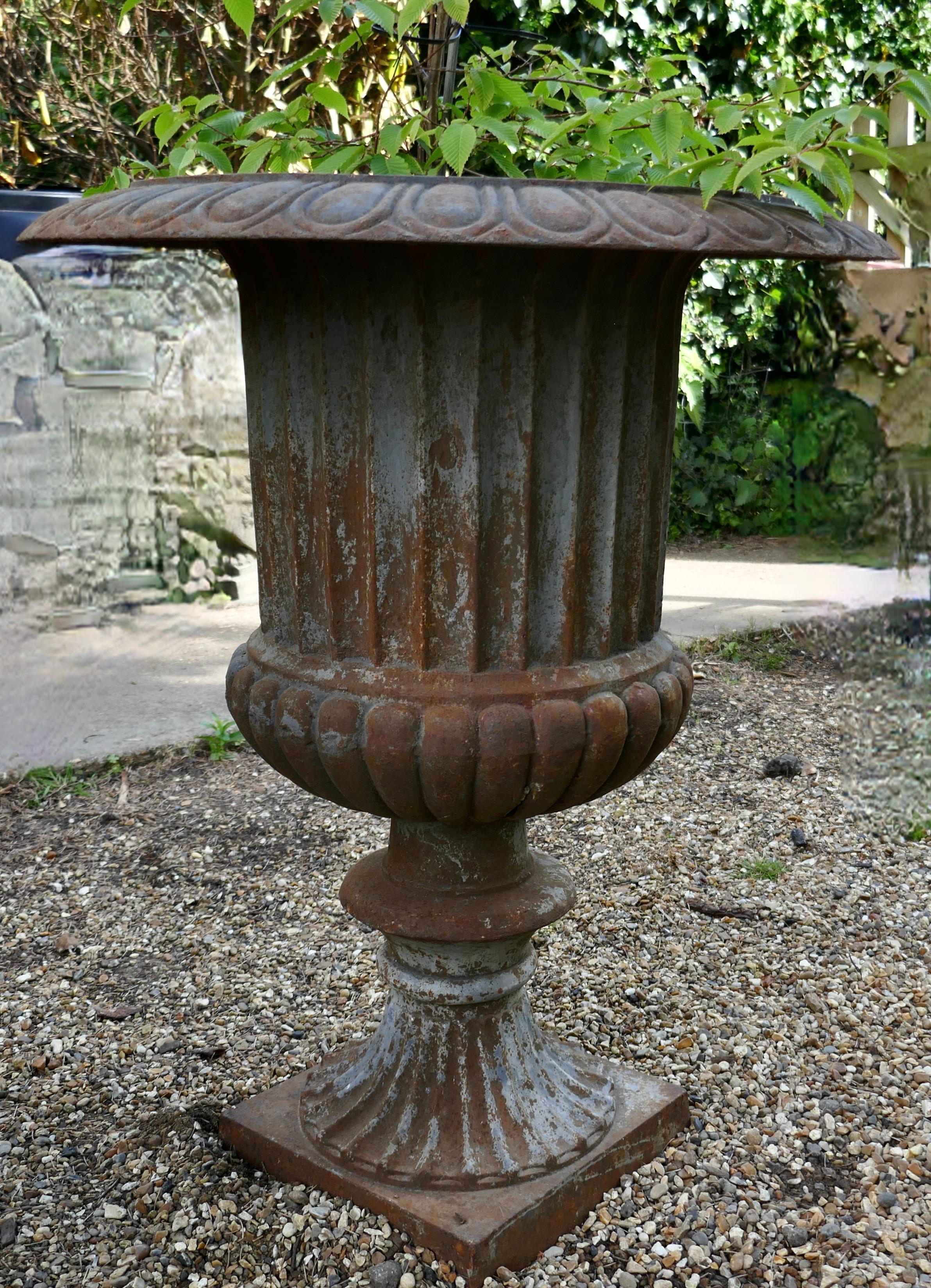 large cast iron urn planter