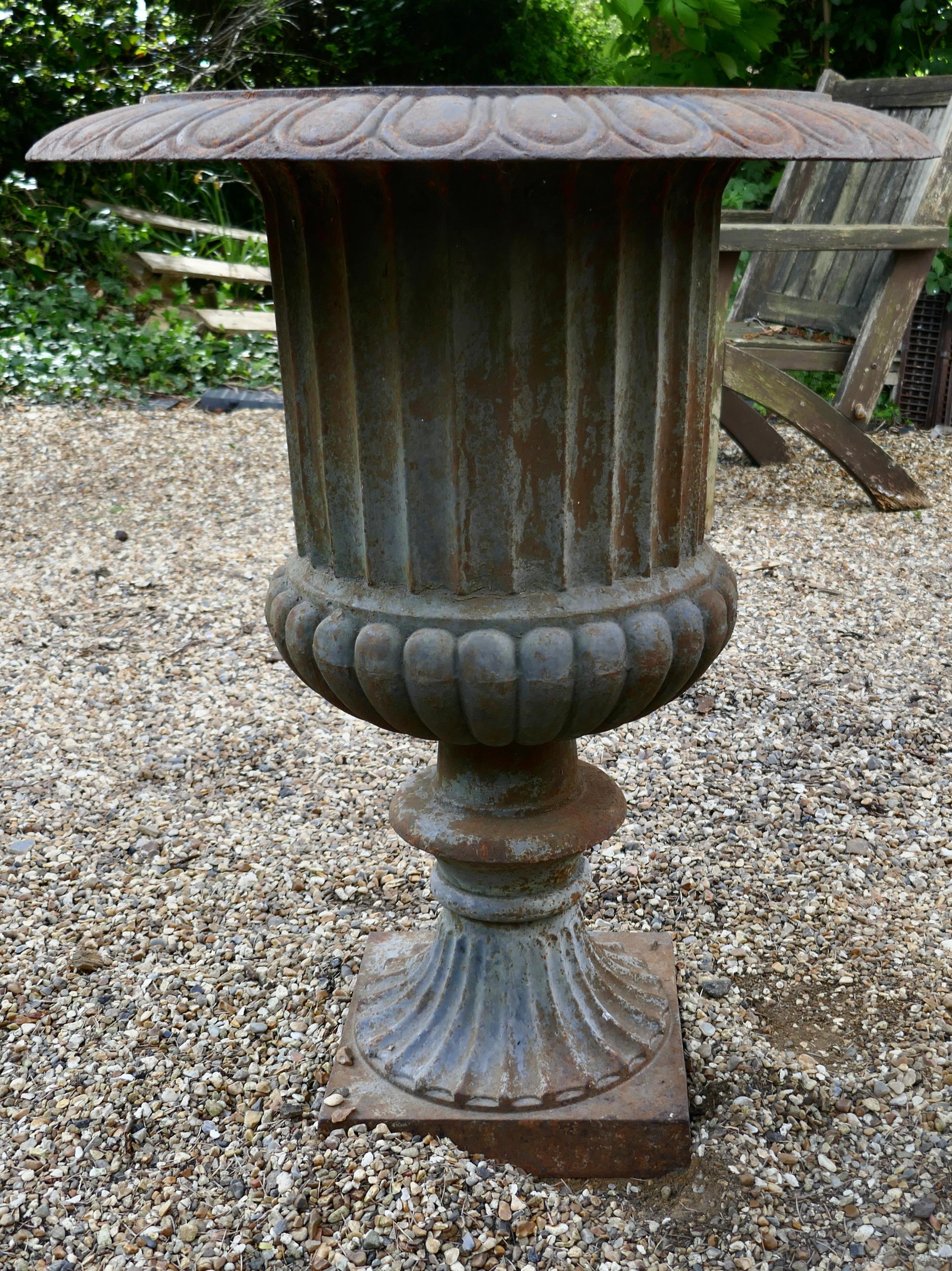 Adam Style Large Cast Iron Garden Urn with Distressed Shabby Paint