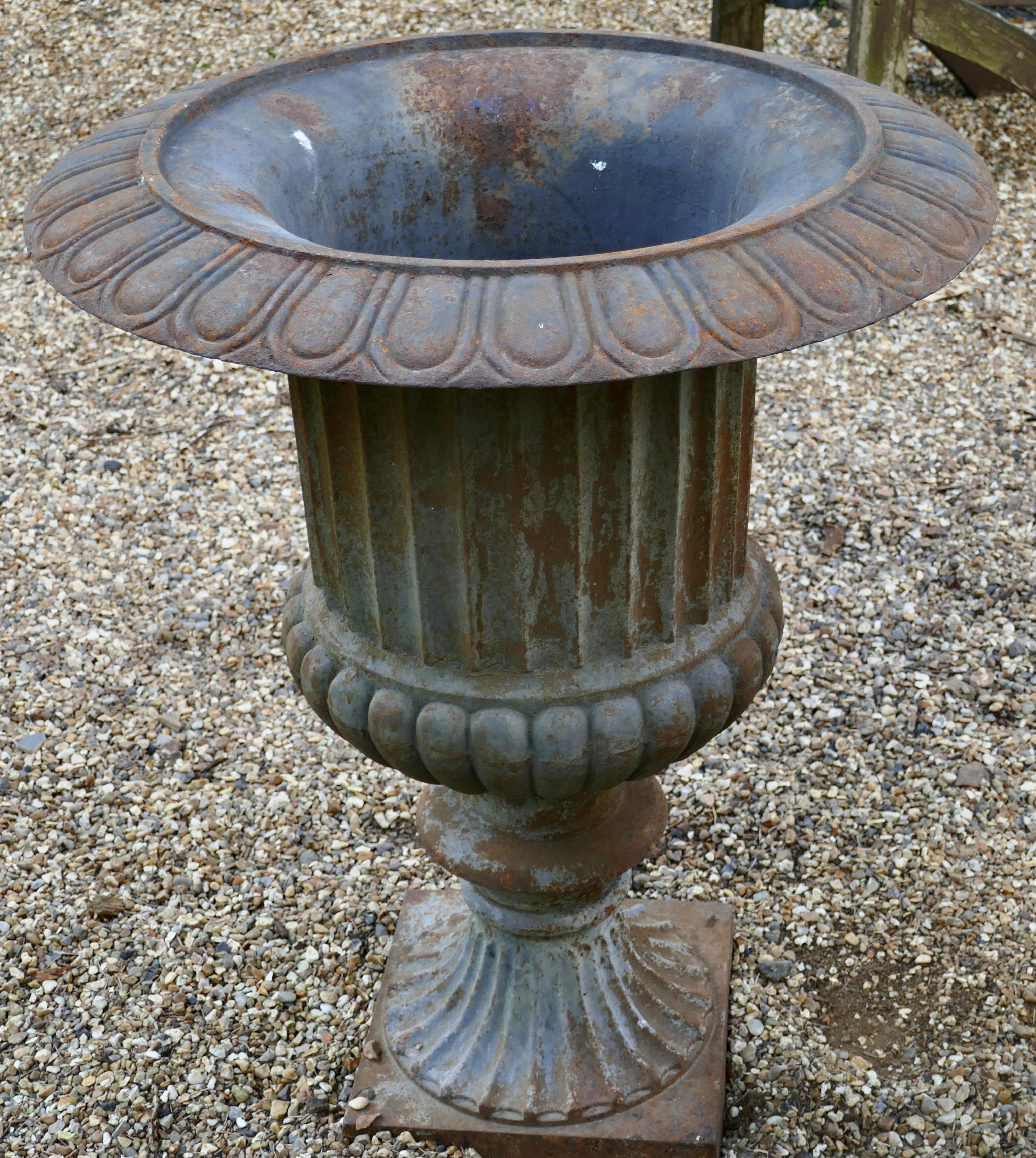 Large Cast Iron Garden Urn with Distressed Shabby Paint In Good Condition In Chillerton, Isle of Wight