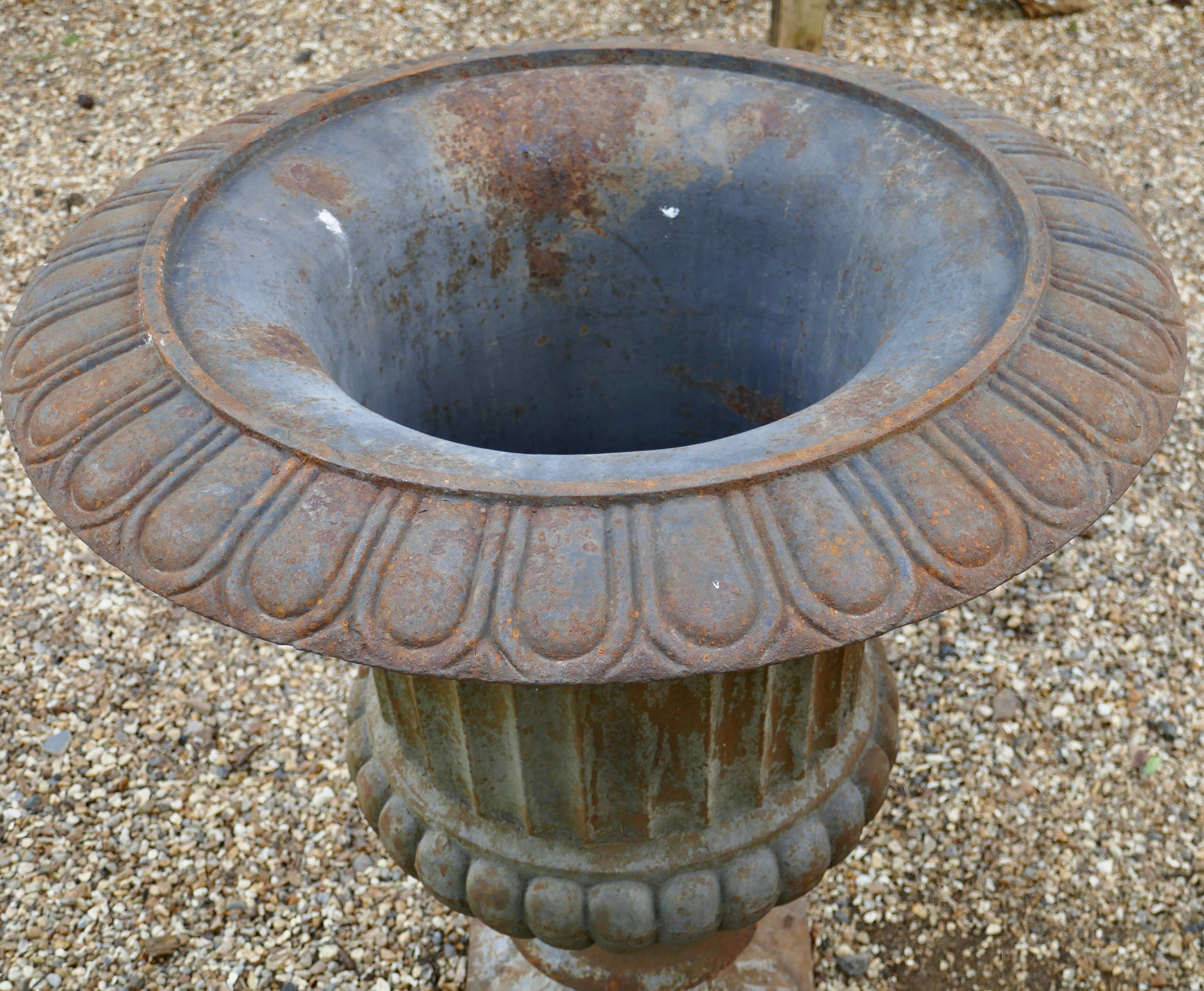 19th Century Large Cast Iron Garden Urn with Distressed Shabby Paint