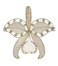 Large Cattelia by Cristina Celestino