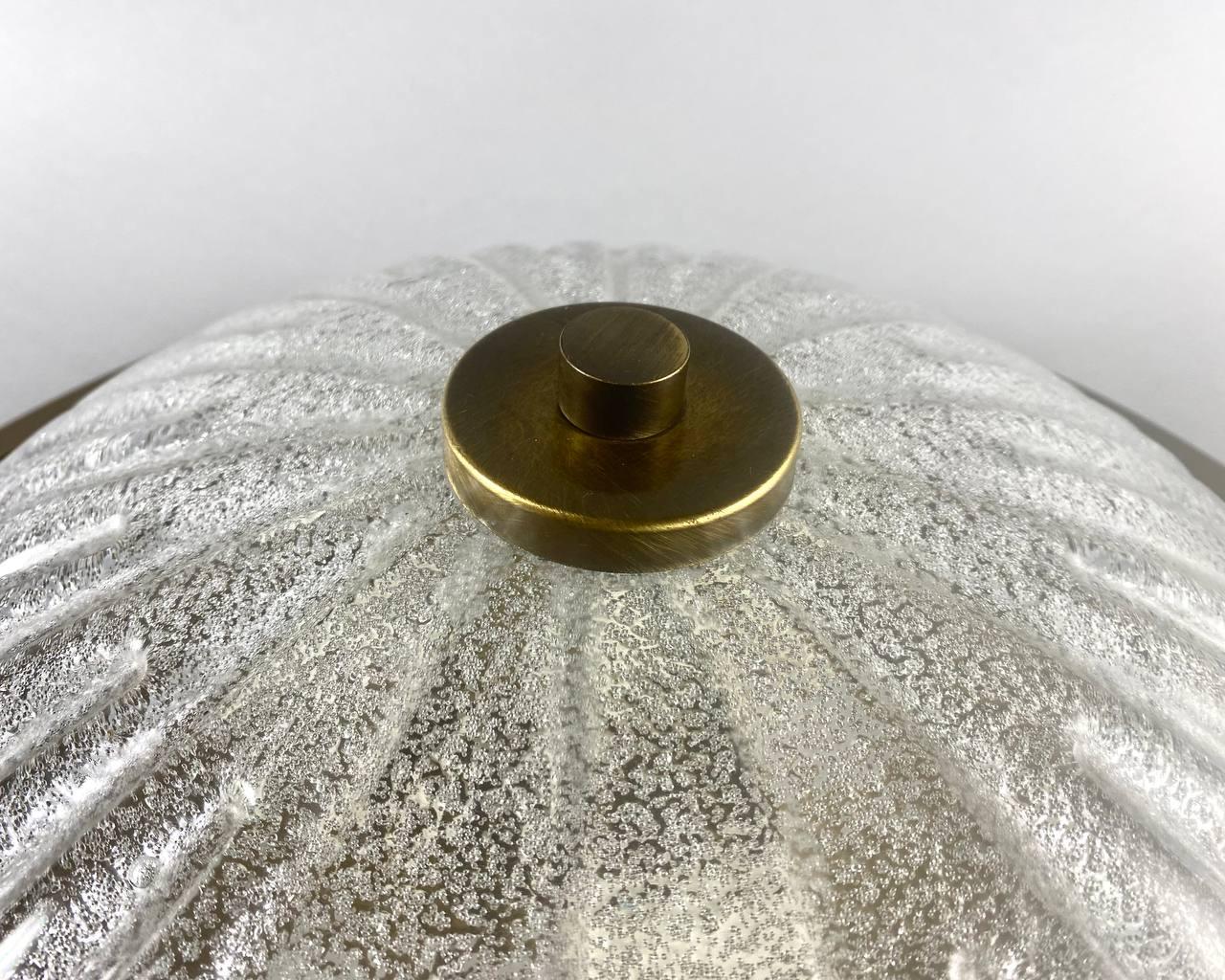 Mid-20th Century Large Ceiling Flush Mount Chandelier by Fisher Leuchten, Germany, 1970s For Sale